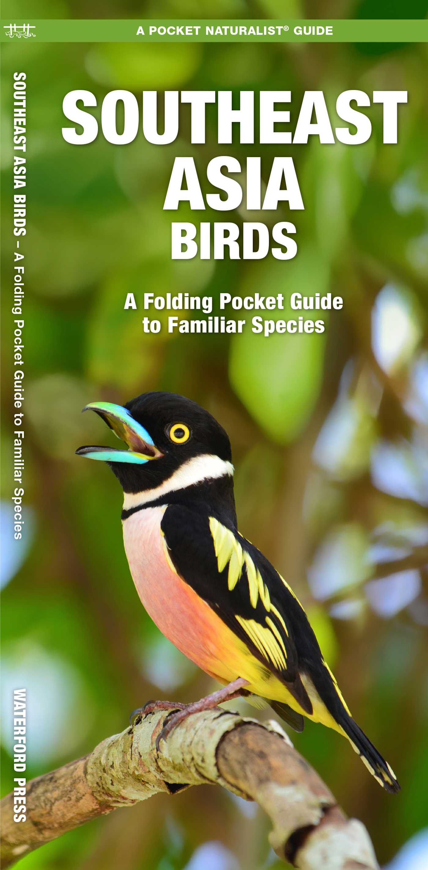 Southeast Asia Birds
