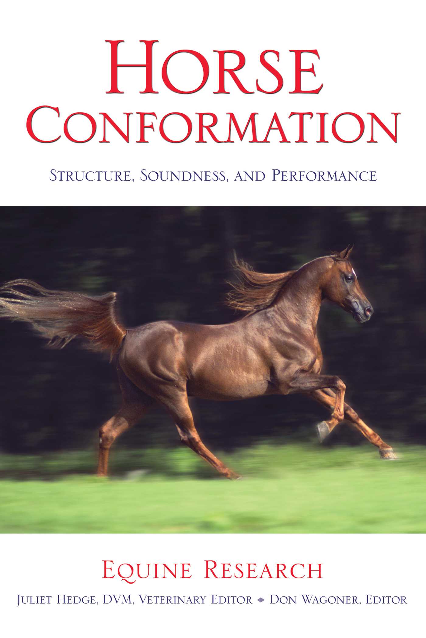 Horse Conformation