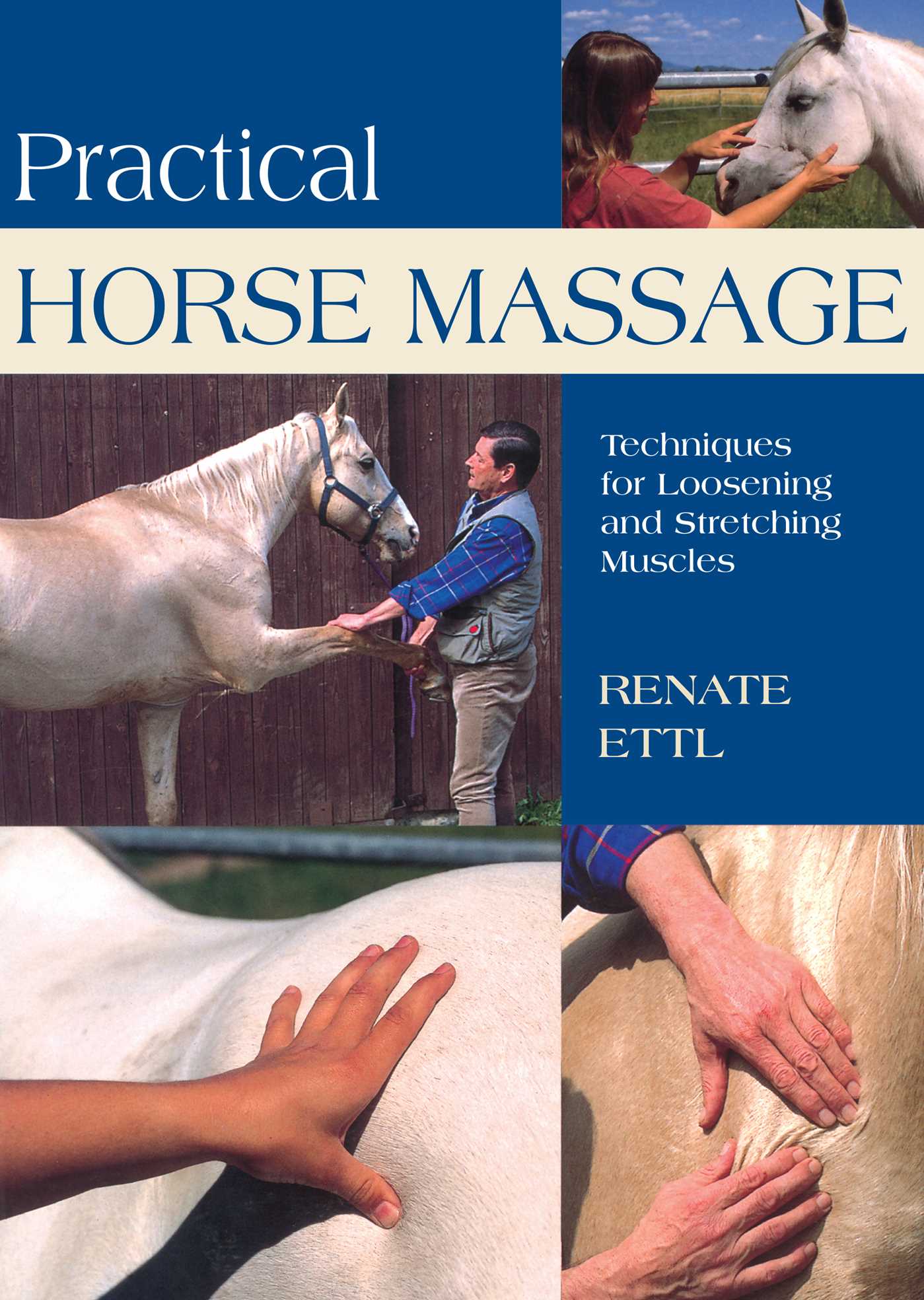 Practical Horse Massage
