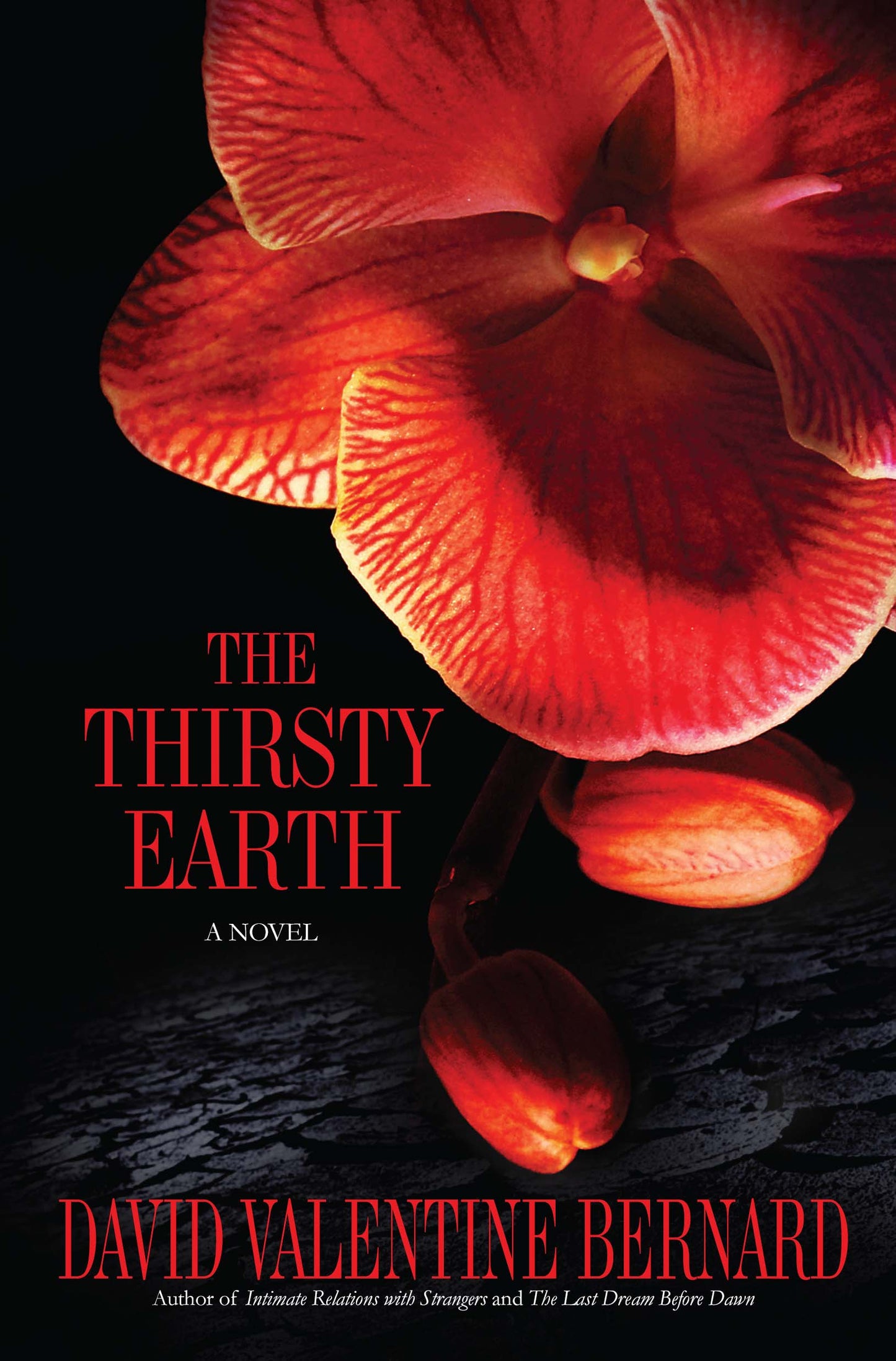 Thirsty Earth: A Novel