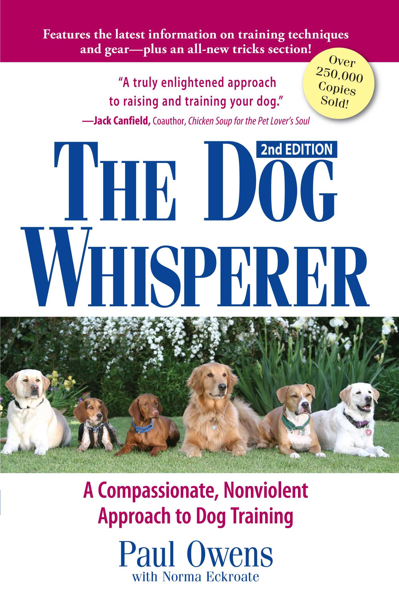 Dog Whisperer: A Compassionate, Nonviolent Approach to Dog Training