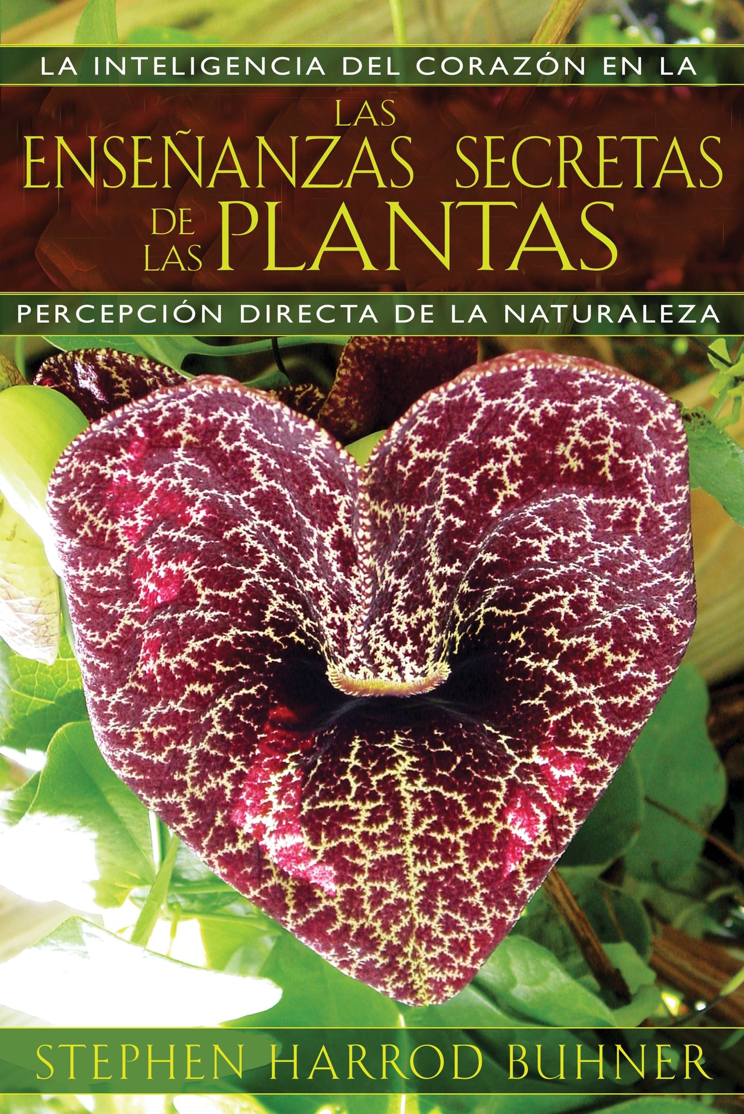 enseñanzas secretas de las plantas: La inteligencia del corazón en la percepción directa de la naturaleza