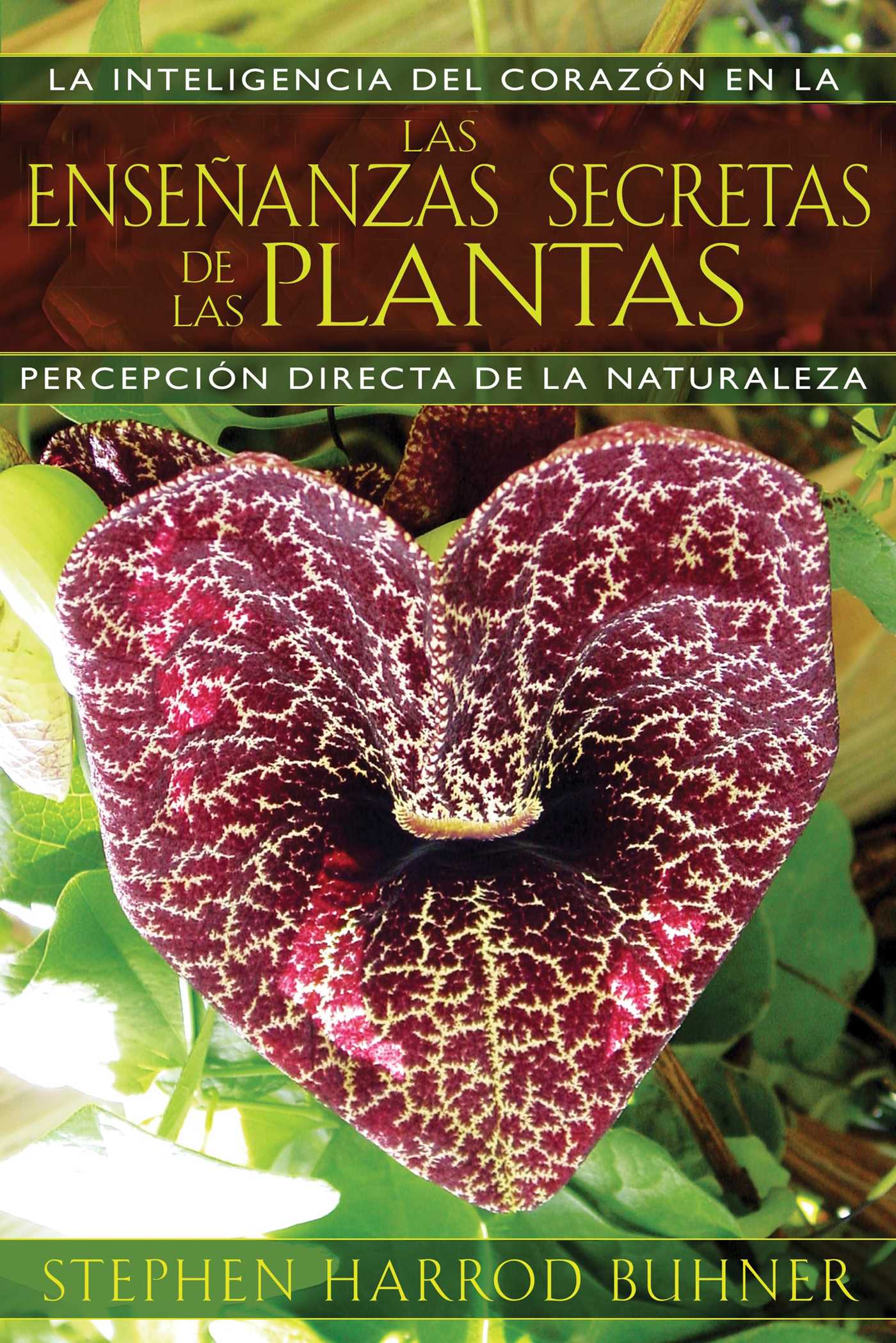 enseñanzas secretas de las plantas: La inteligencia del corazón en la percepción directa de la naturaleza