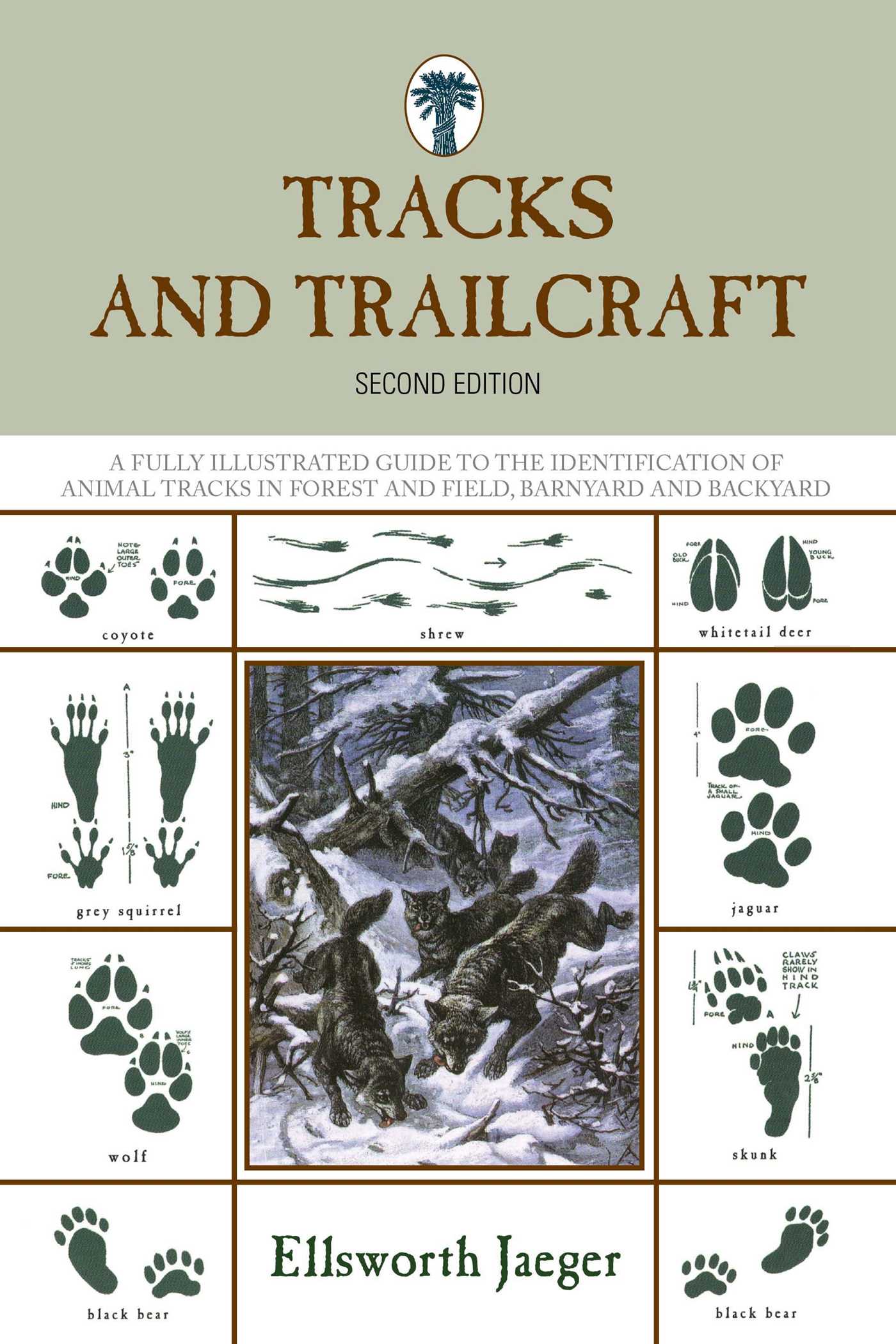 Tracks and Trailcraft