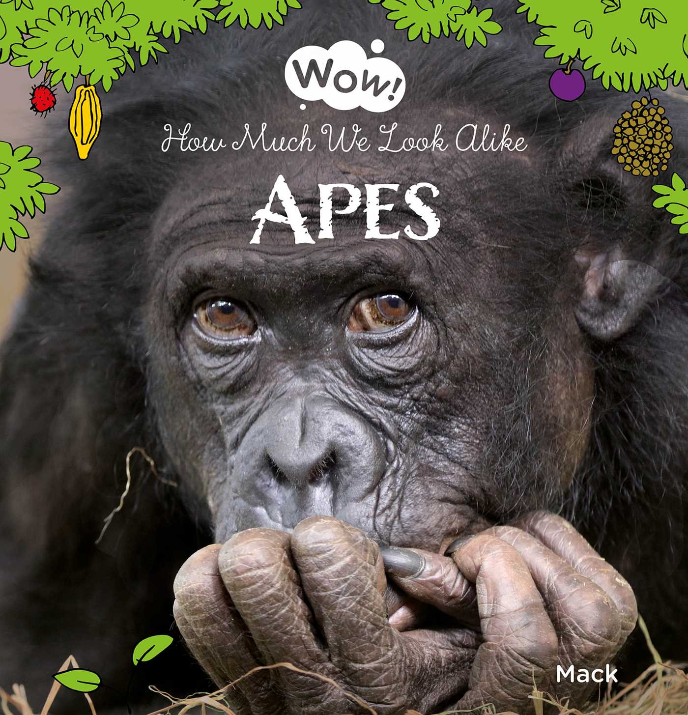 Apes