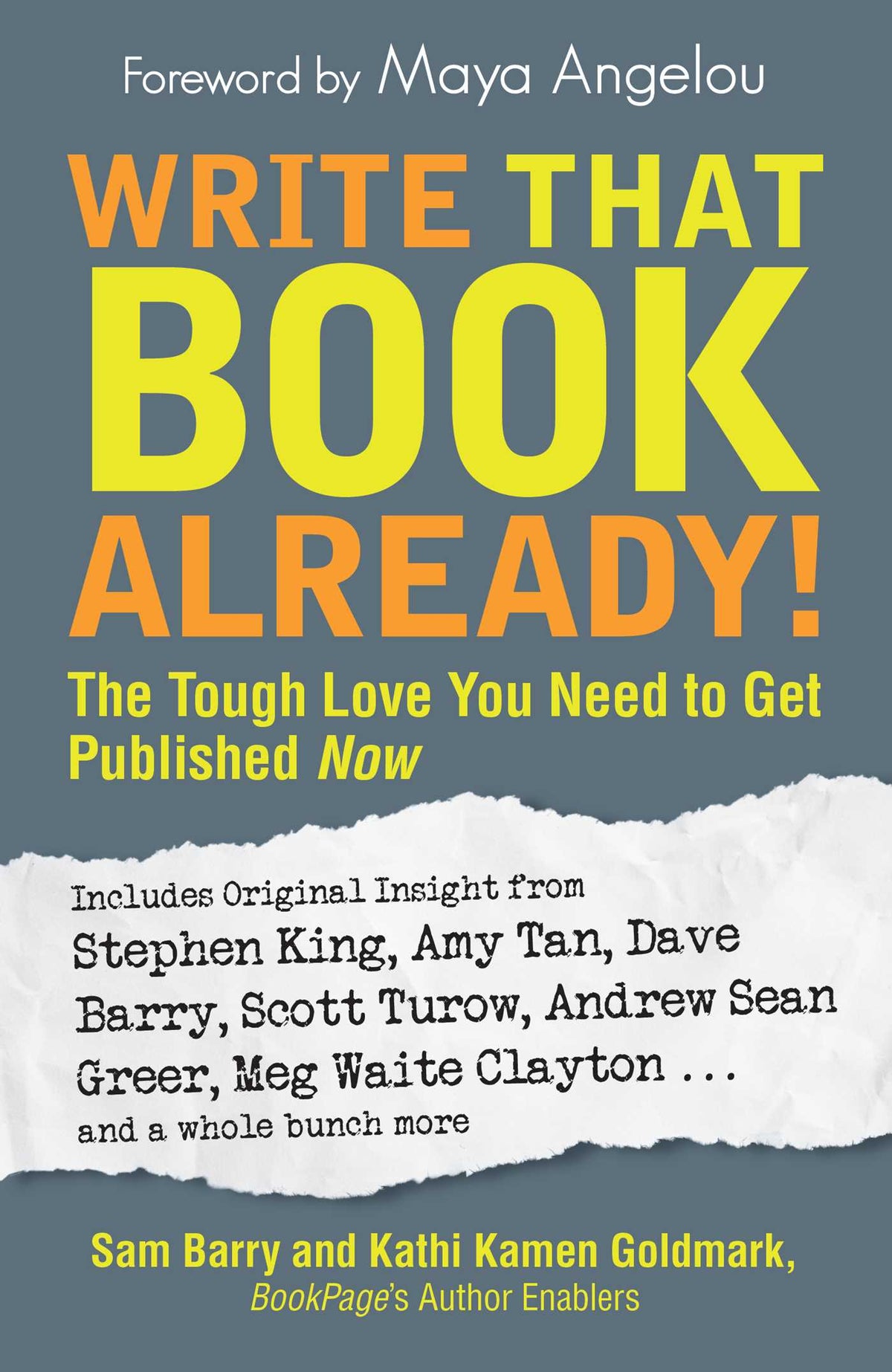 Write That Book Already!