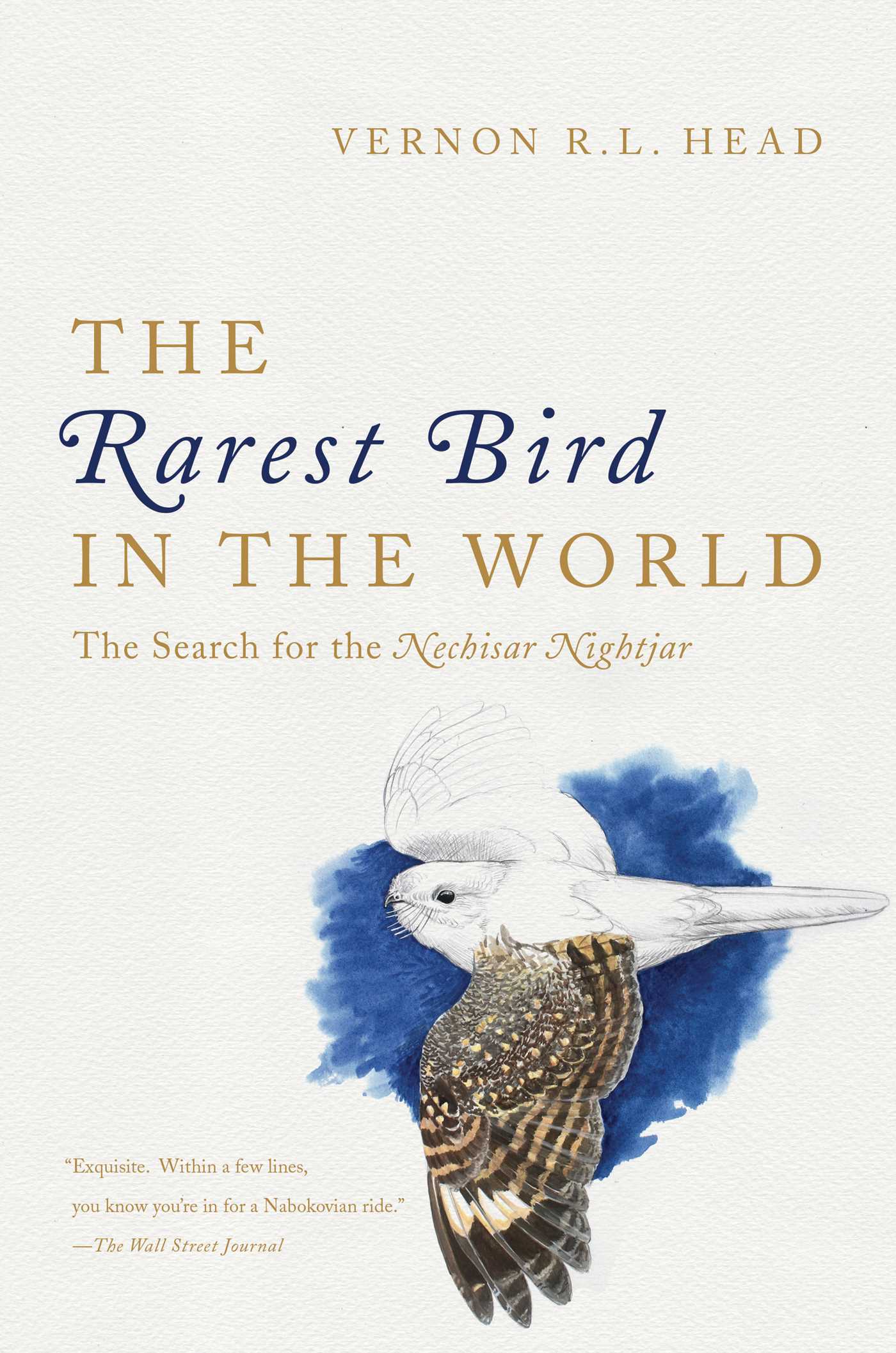 Rarest Bird in the World: The Search for the Nechisar Nightjar