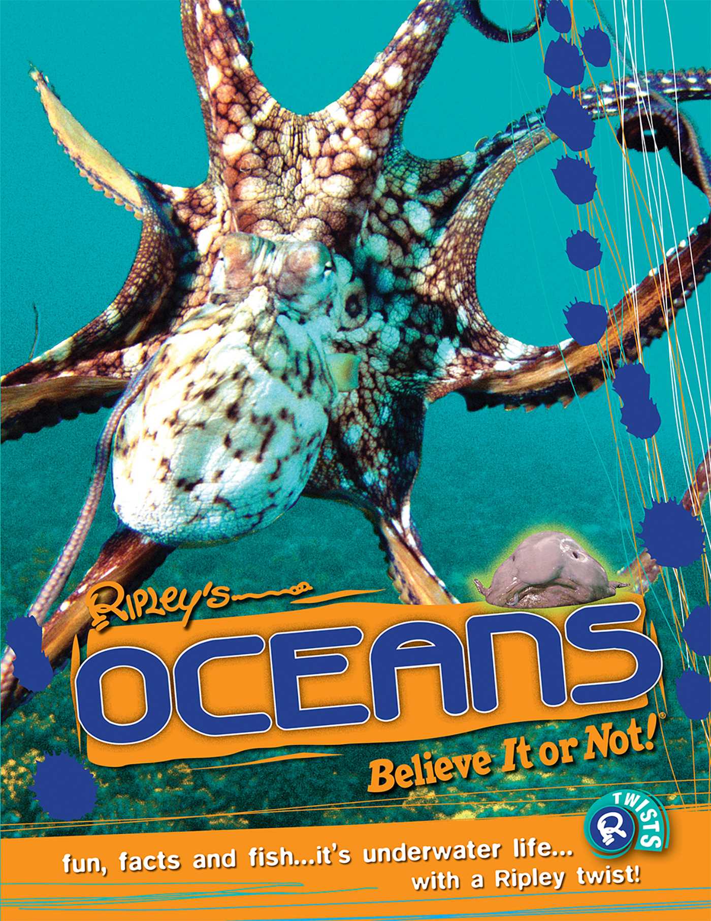 Ripley Twists PB: Oceans