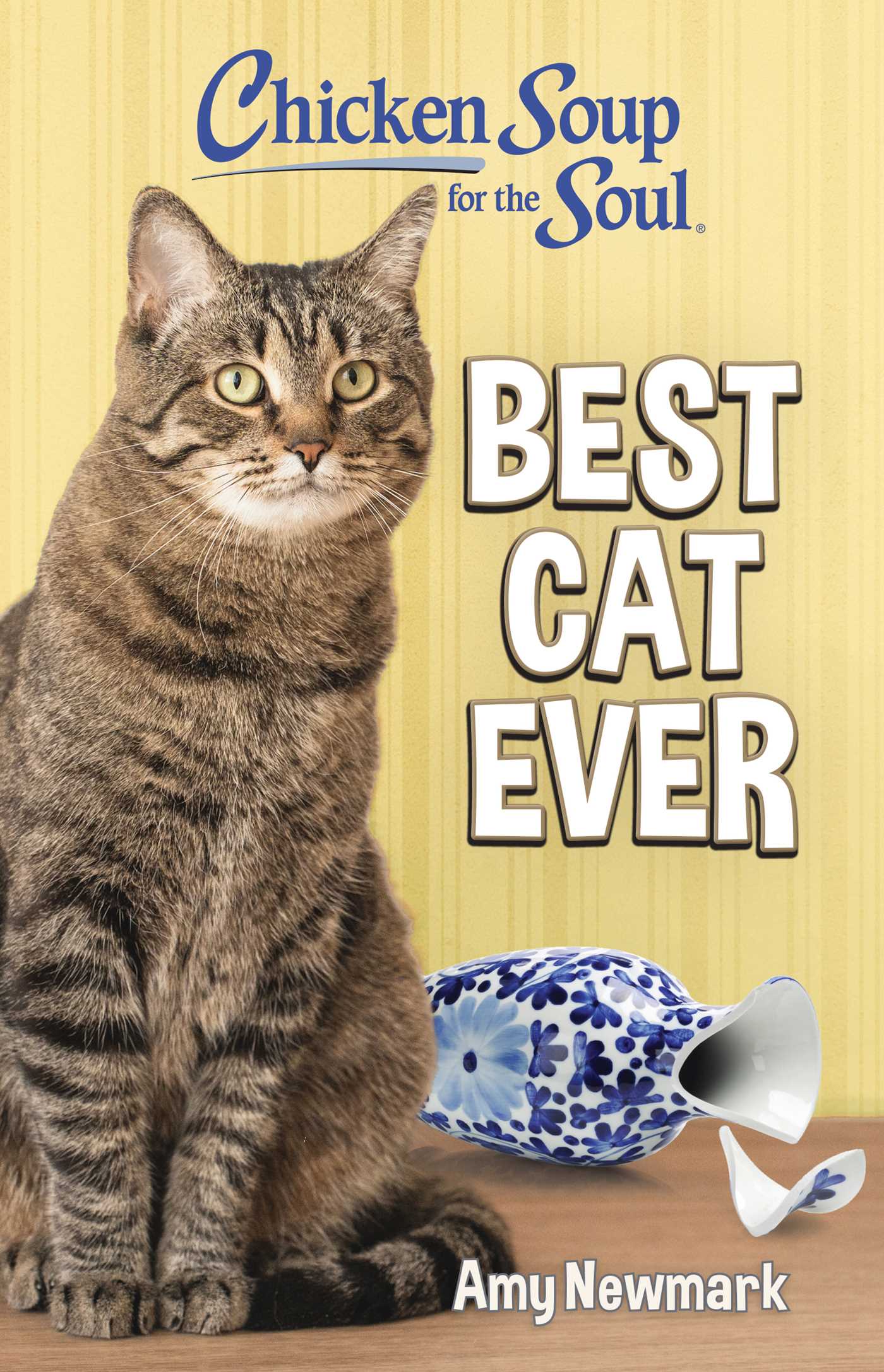 Chicken Soup for the Soul: Best Cat Ever