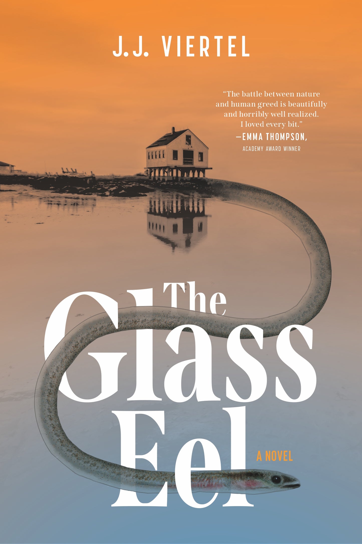 Glass Eel