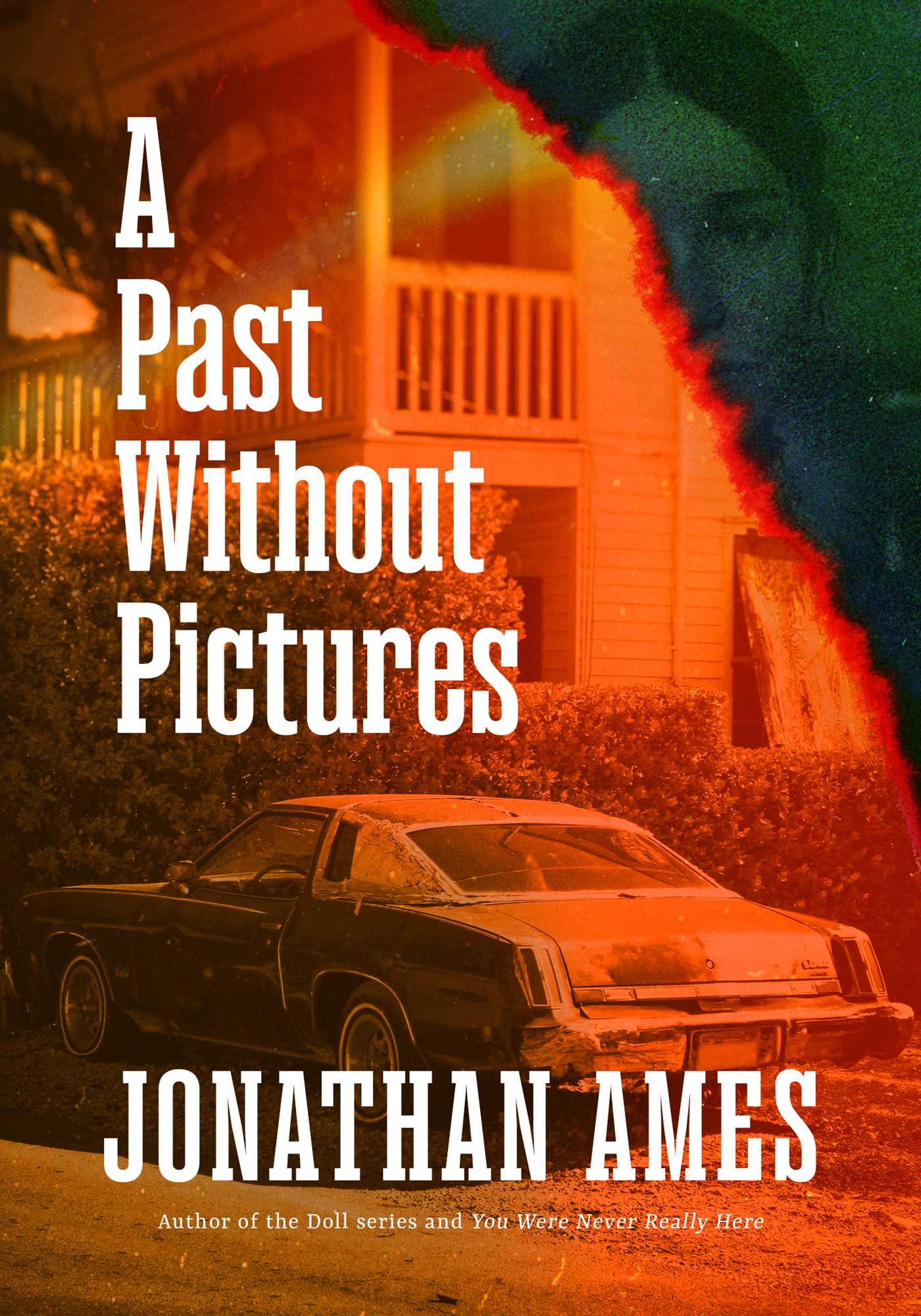 Past Without Pictures