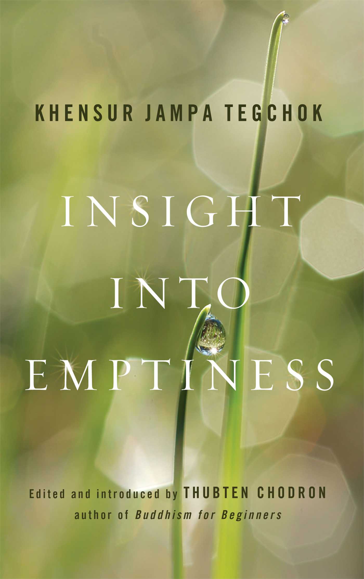 Insight into Emptiness