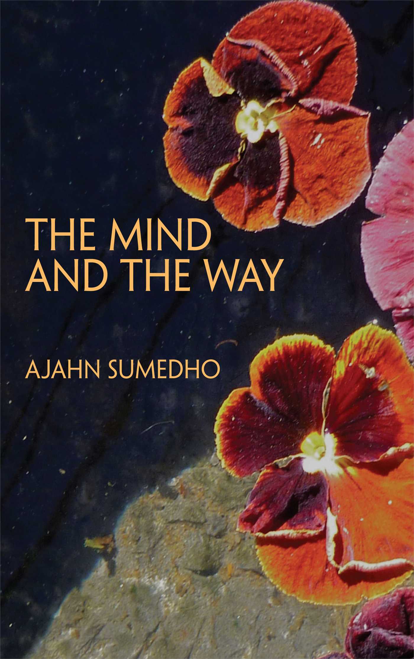 Mind and the Way: Buddhist Reflections on Life