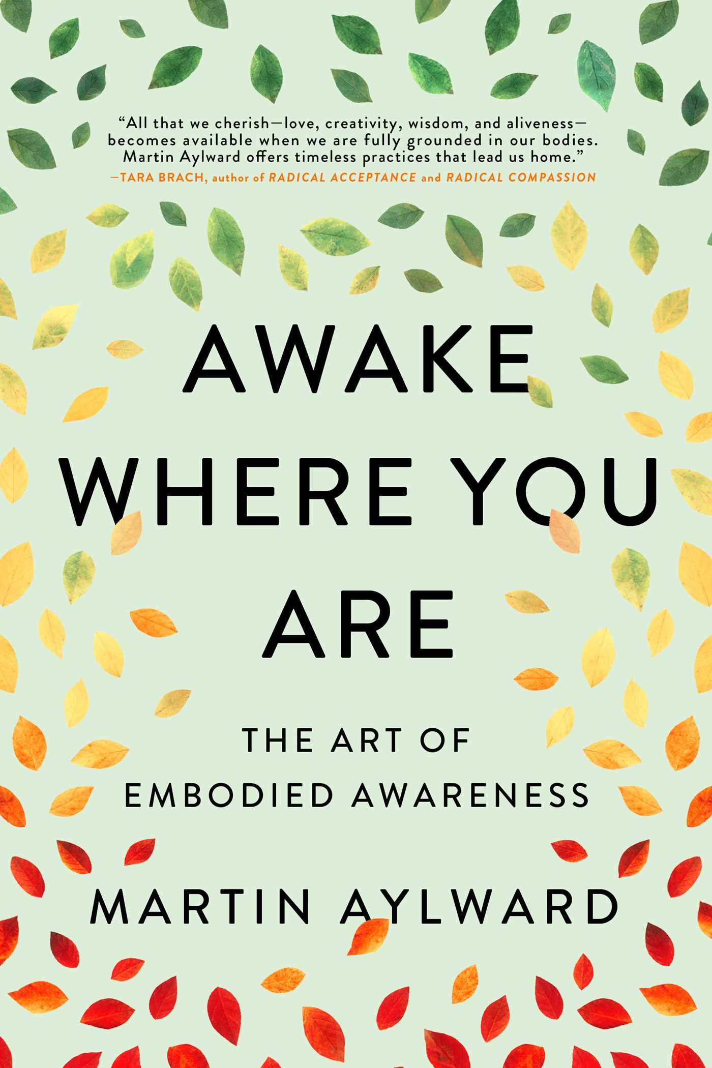 Awake Where You Are