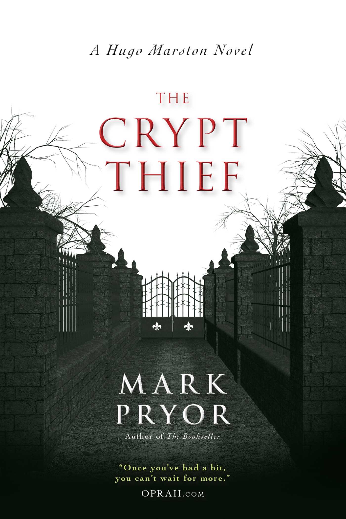 Crypt Thief: A Hugo Marston Novel