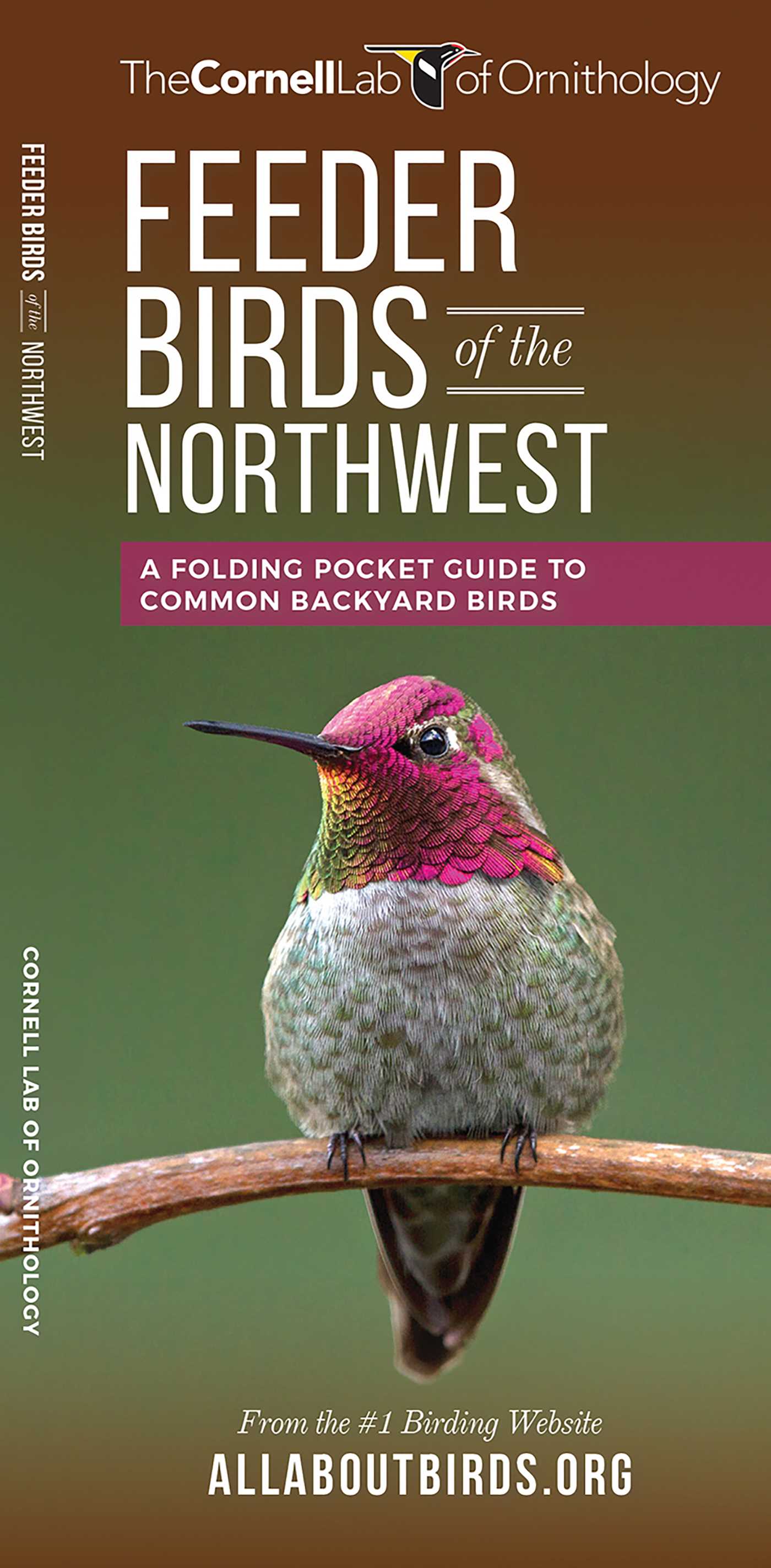 Feeder Birds of the Northwest
