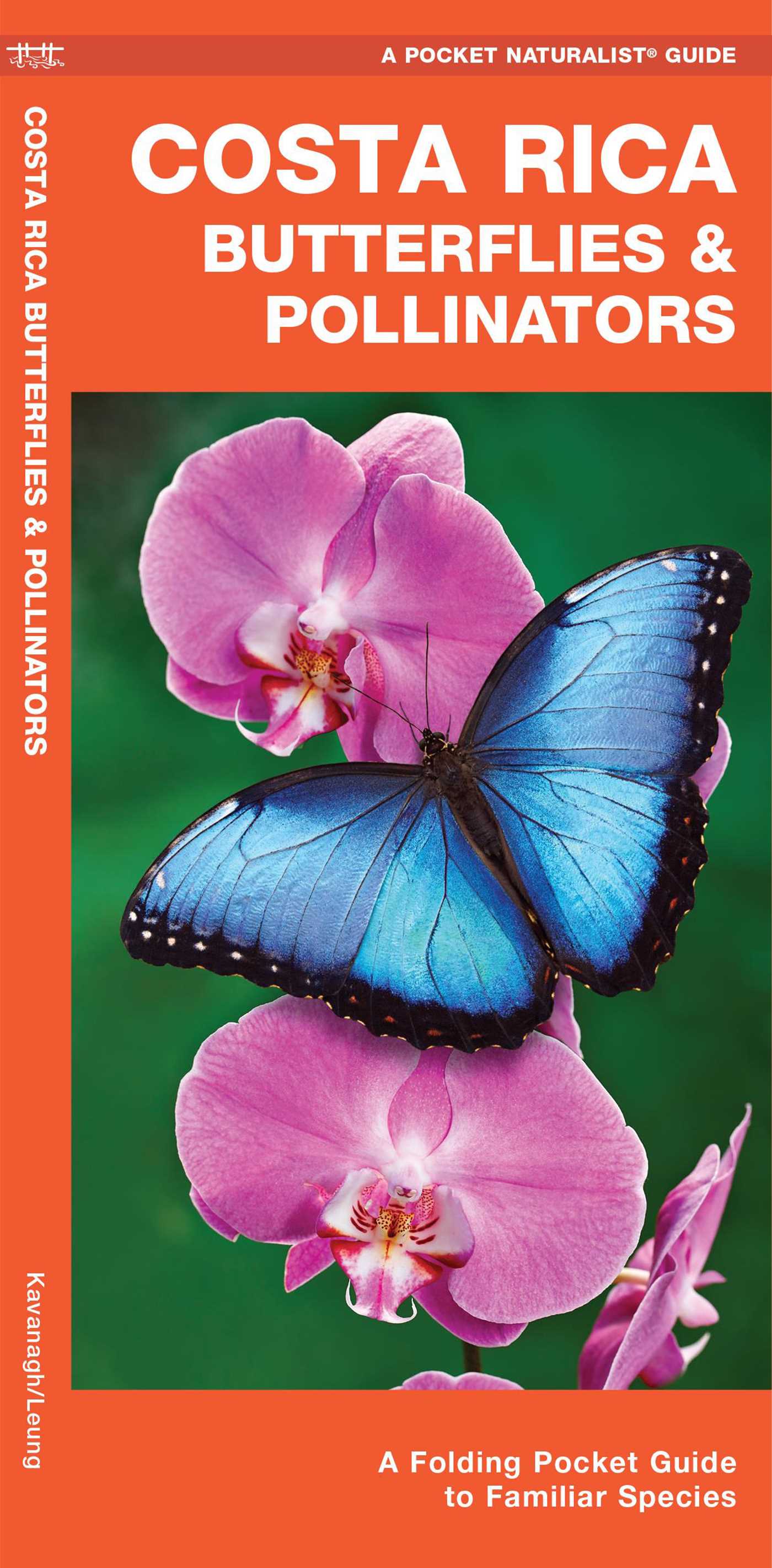 Costa Rica Butterflies & Pollinators