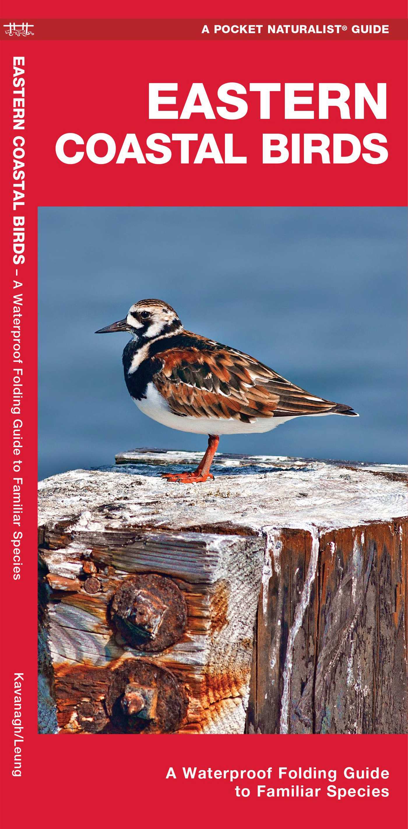 Eastern Coastal Birds, 2nd Ed