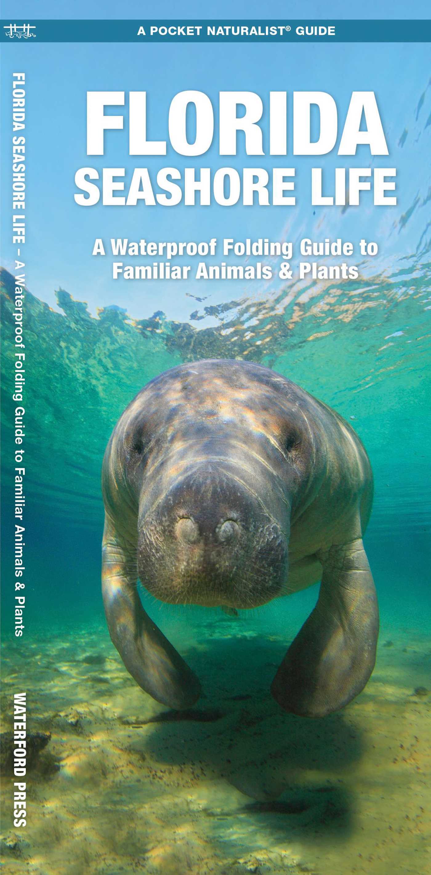 Florida Seashore Life, 2nd Ed