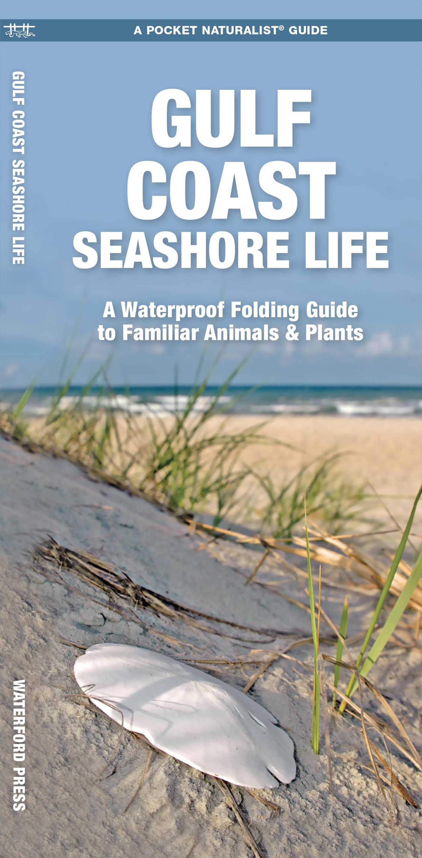 Gulf Coast Seashore Life, 2nd Ed