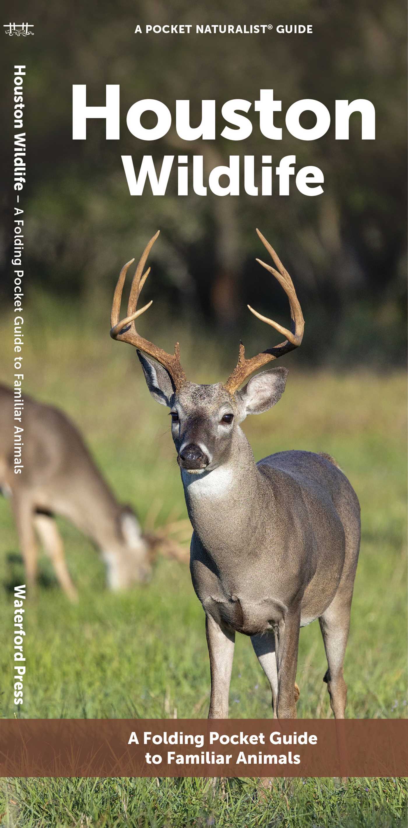 Houston Wildlife