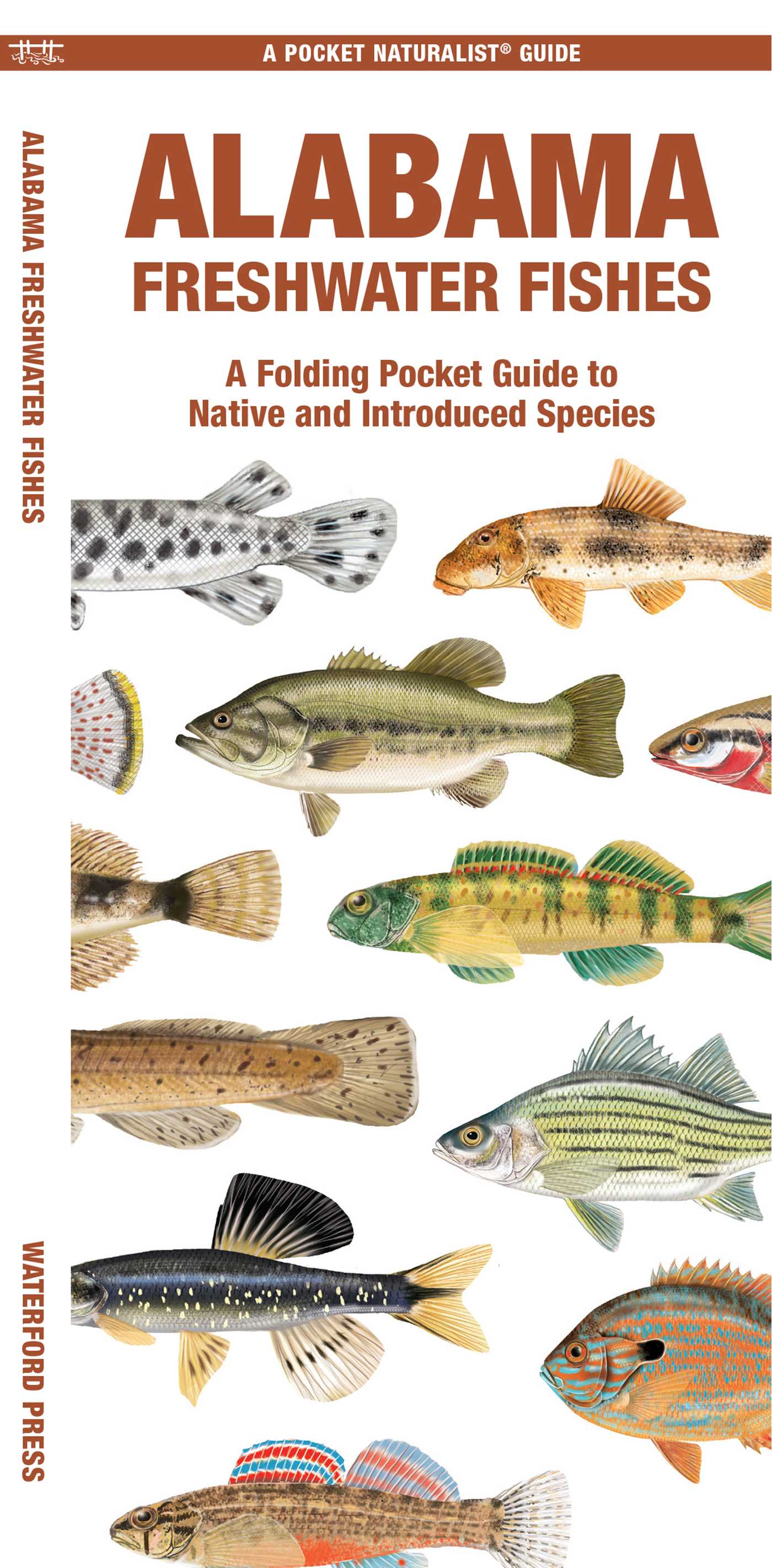 Alabama Freshwater Fishes