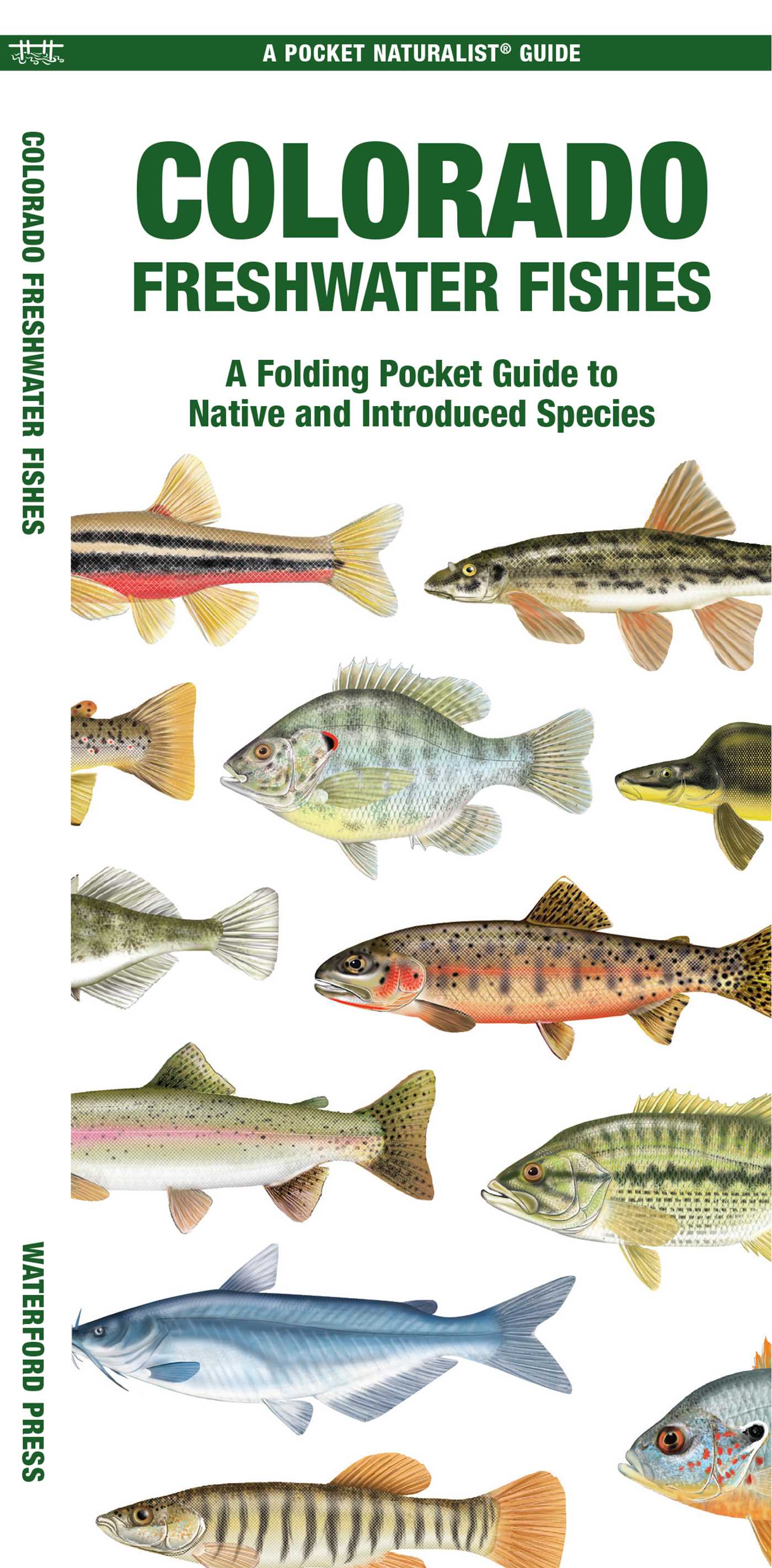 Colorado Freshwater Fishes