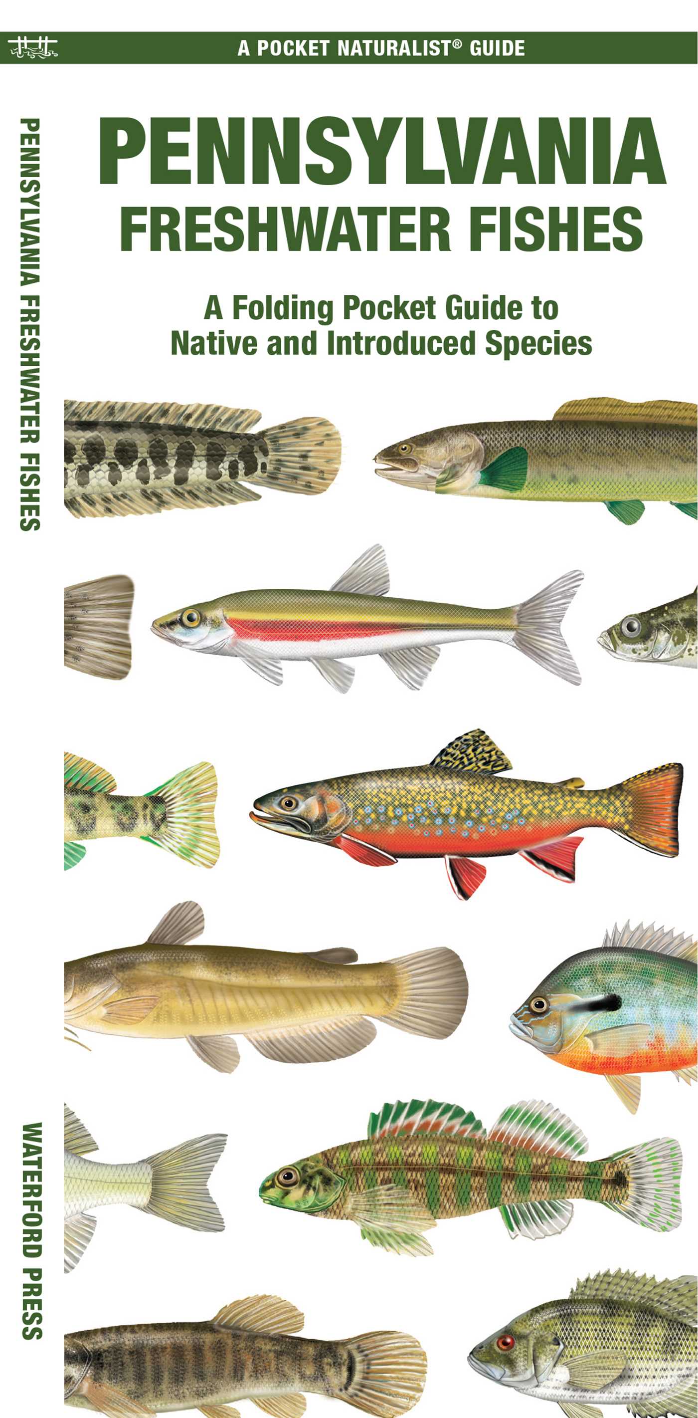 Pennsylvania Freshwater Fishes