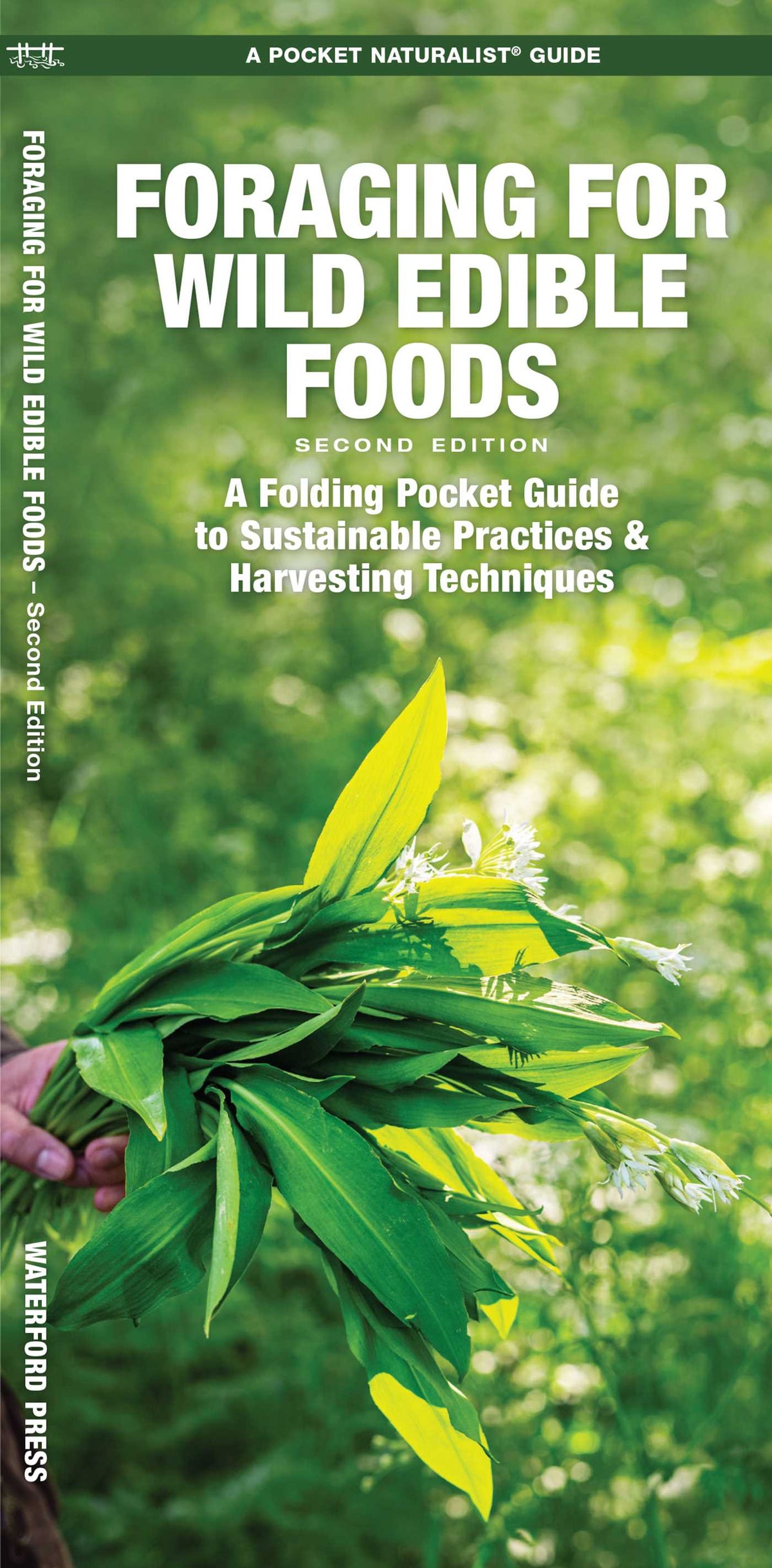 Foraging for Wild Edible Foods