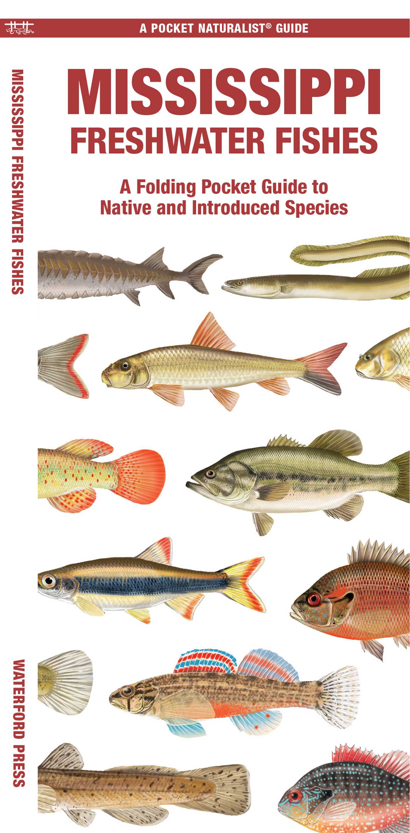 Mississippi Freshwater Fishes