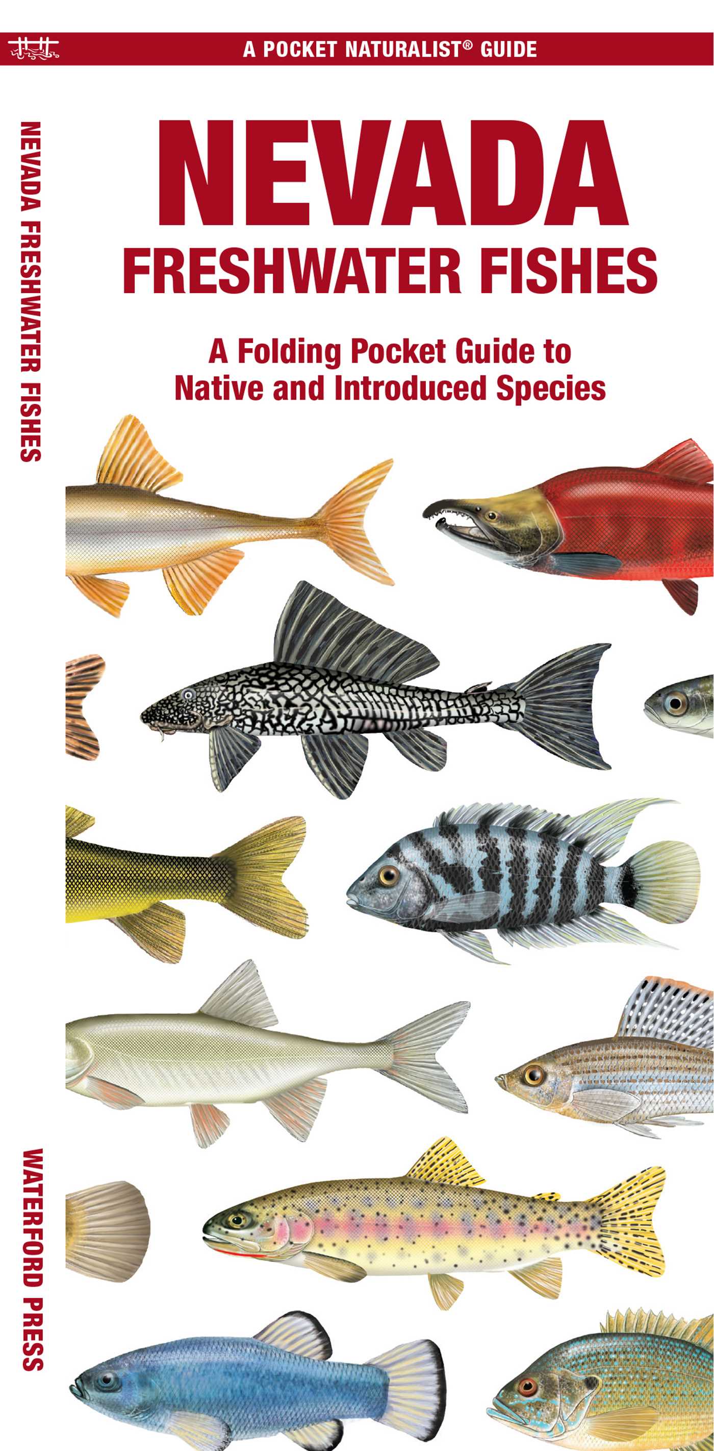 Nevada Freshwater Fishes