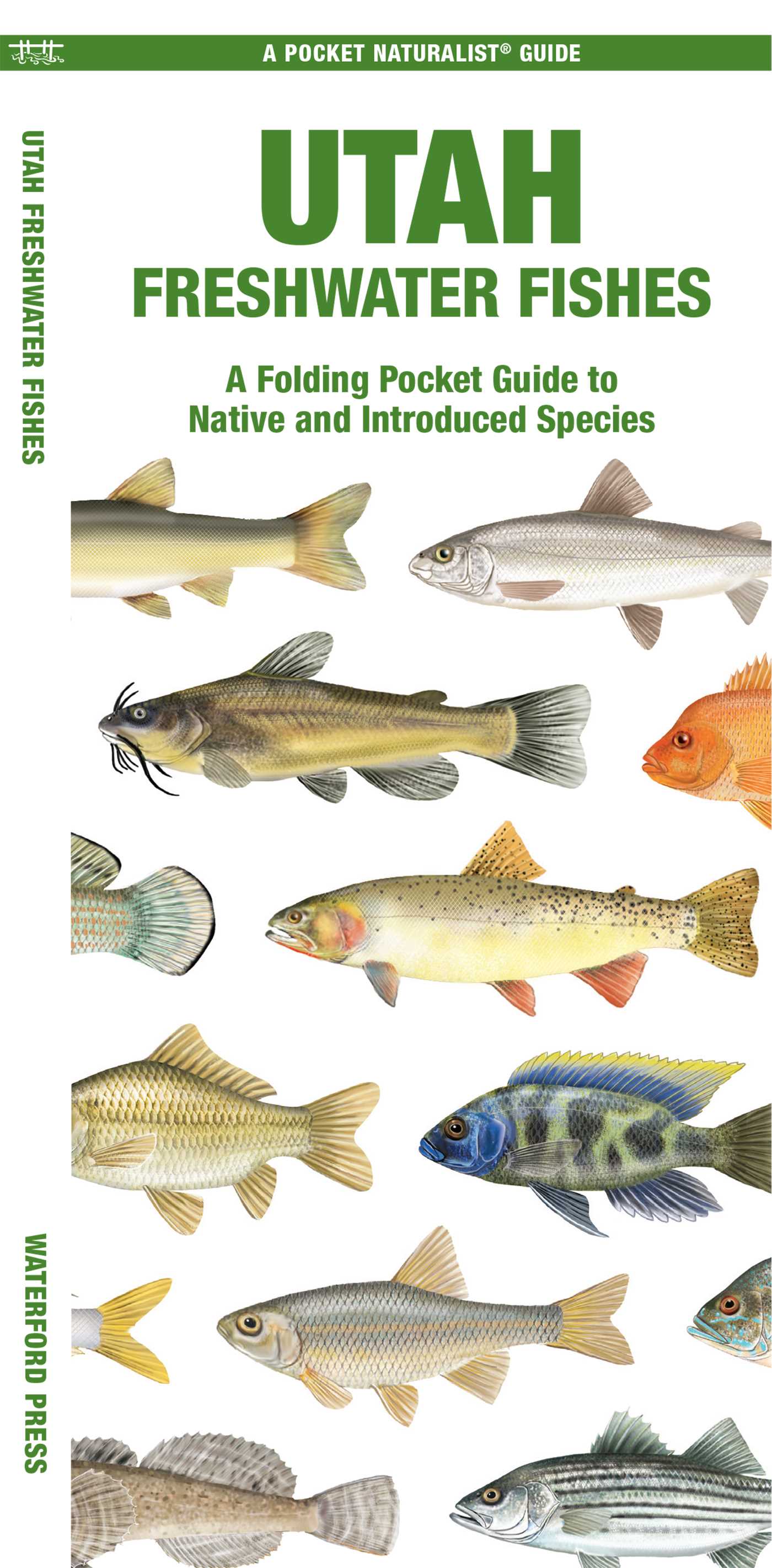 Utah Freshwater Fishes