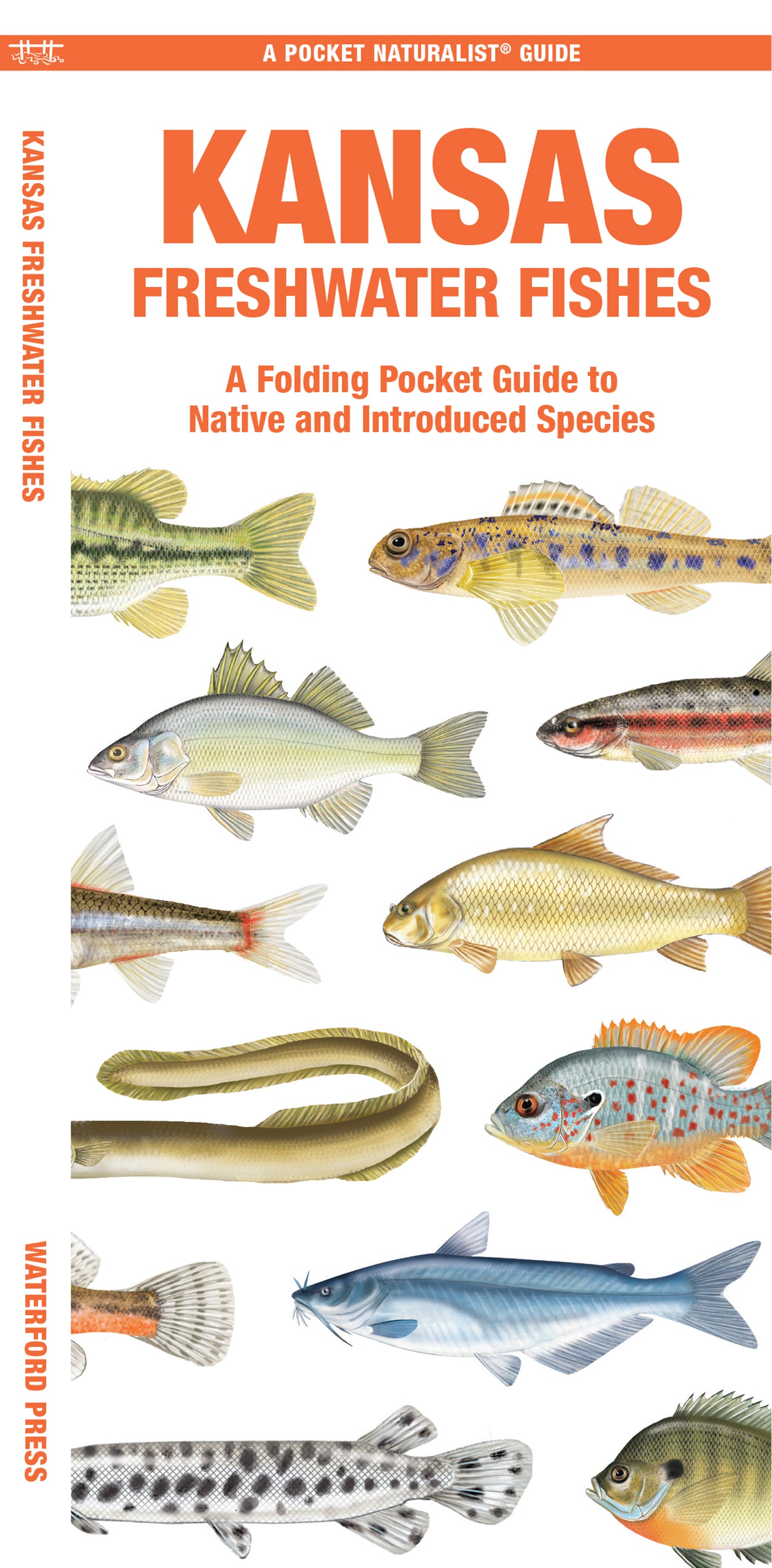 Kansas Freshwater Fishes