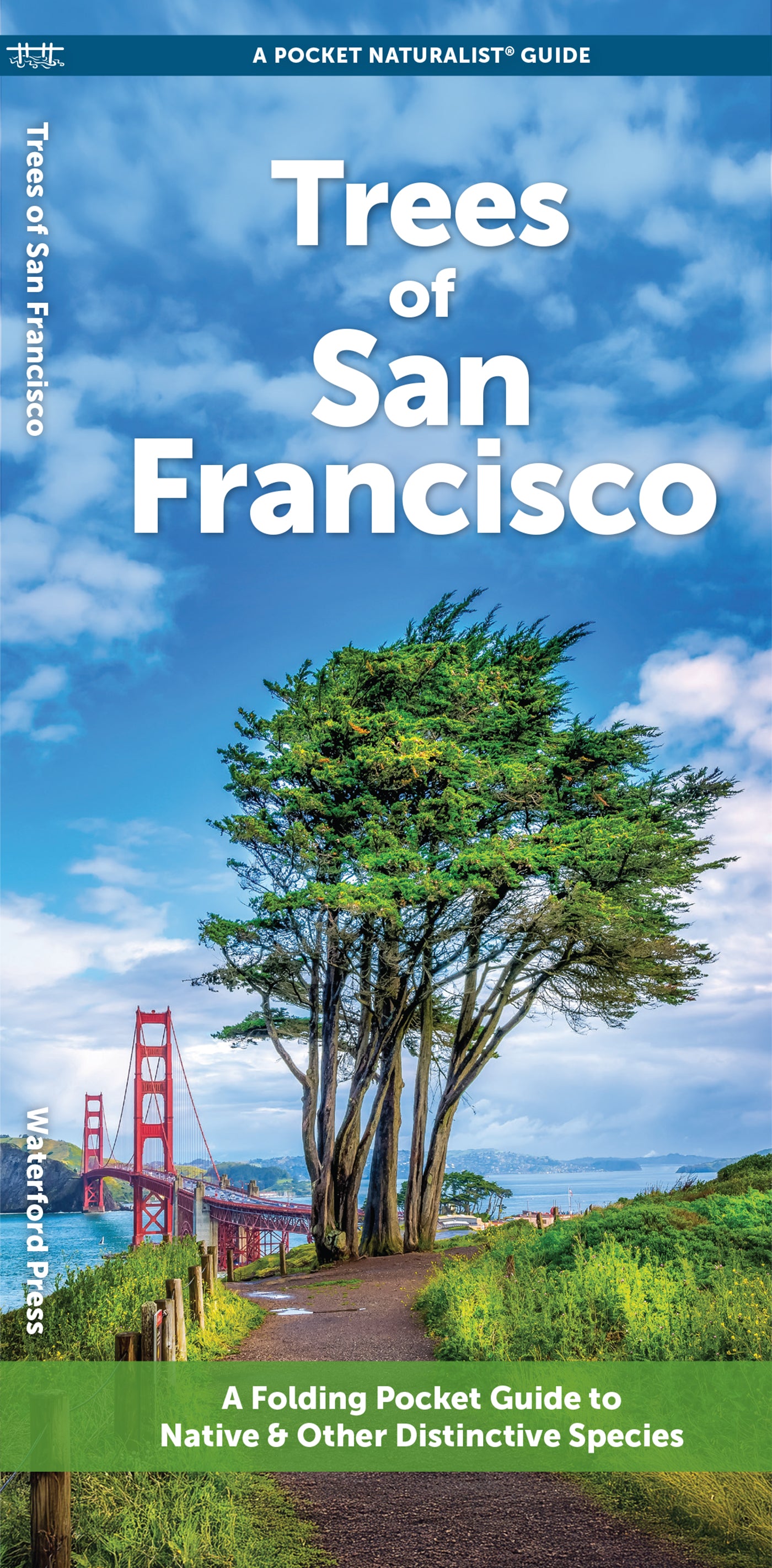 Trees of San Francisco