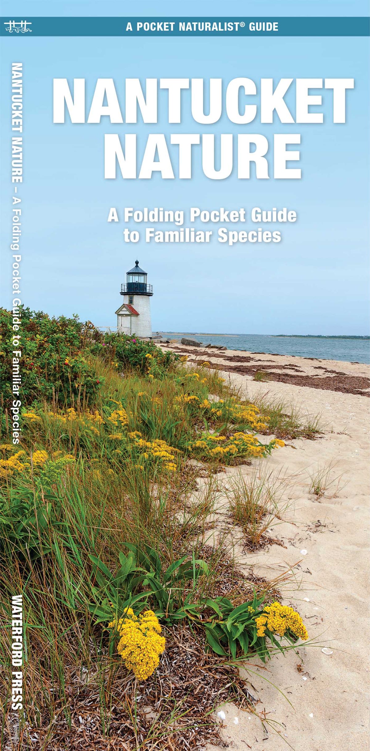 Nantucket Nature