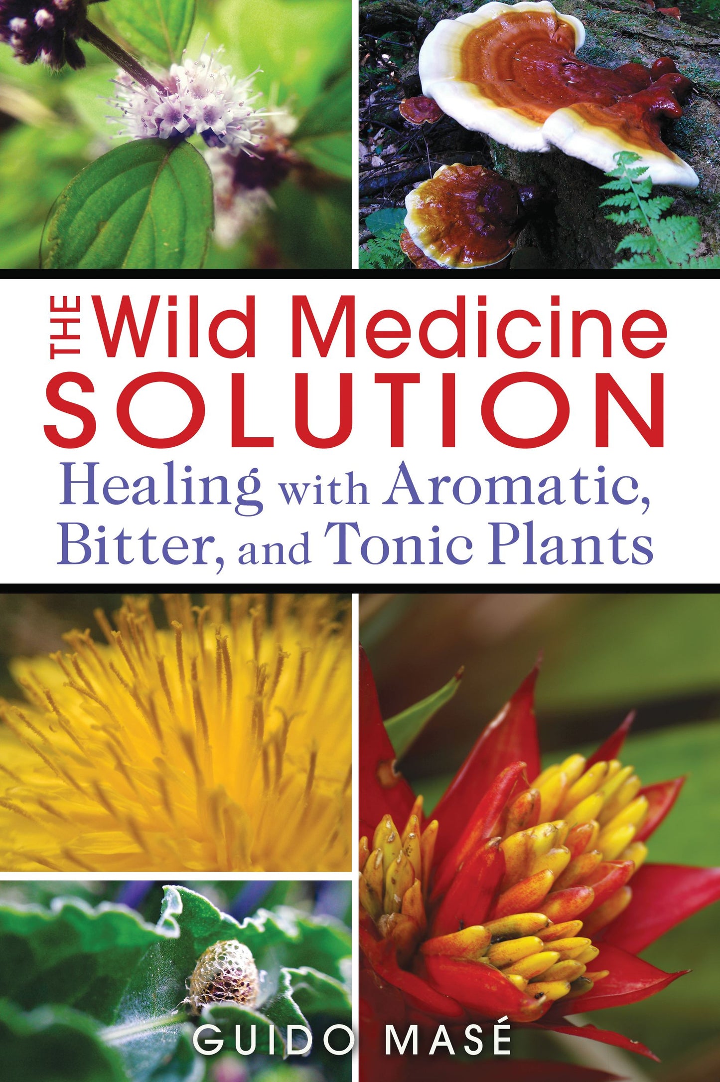Wild Medicine Solution: Healing with Aromatic, Bitter, and Tonic Plants