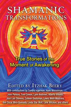 Shamanic Transformations