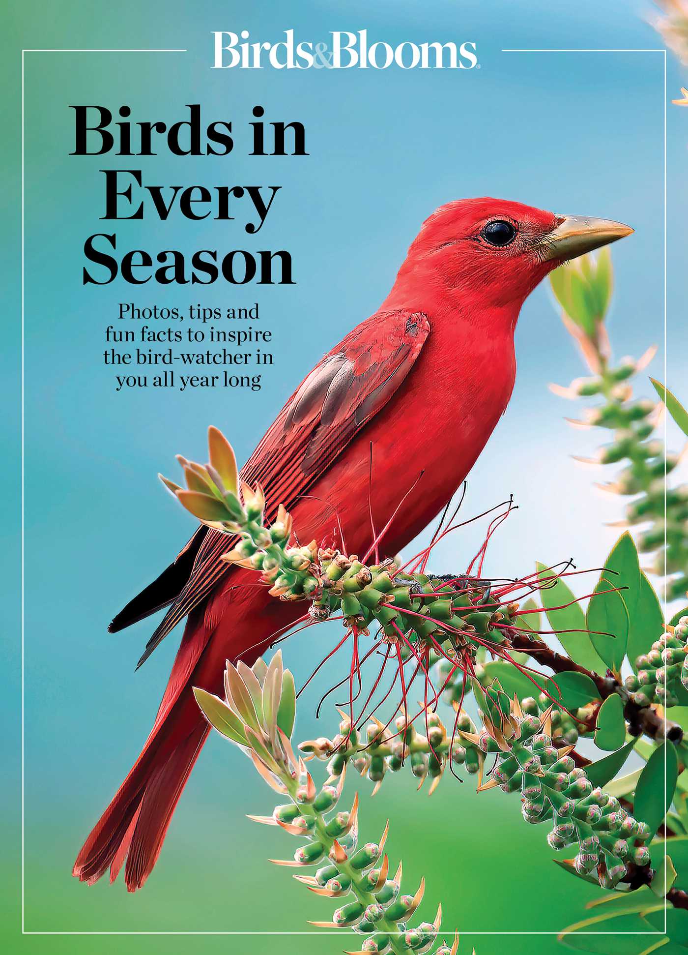 Birds & Blooms Birds in Every Season