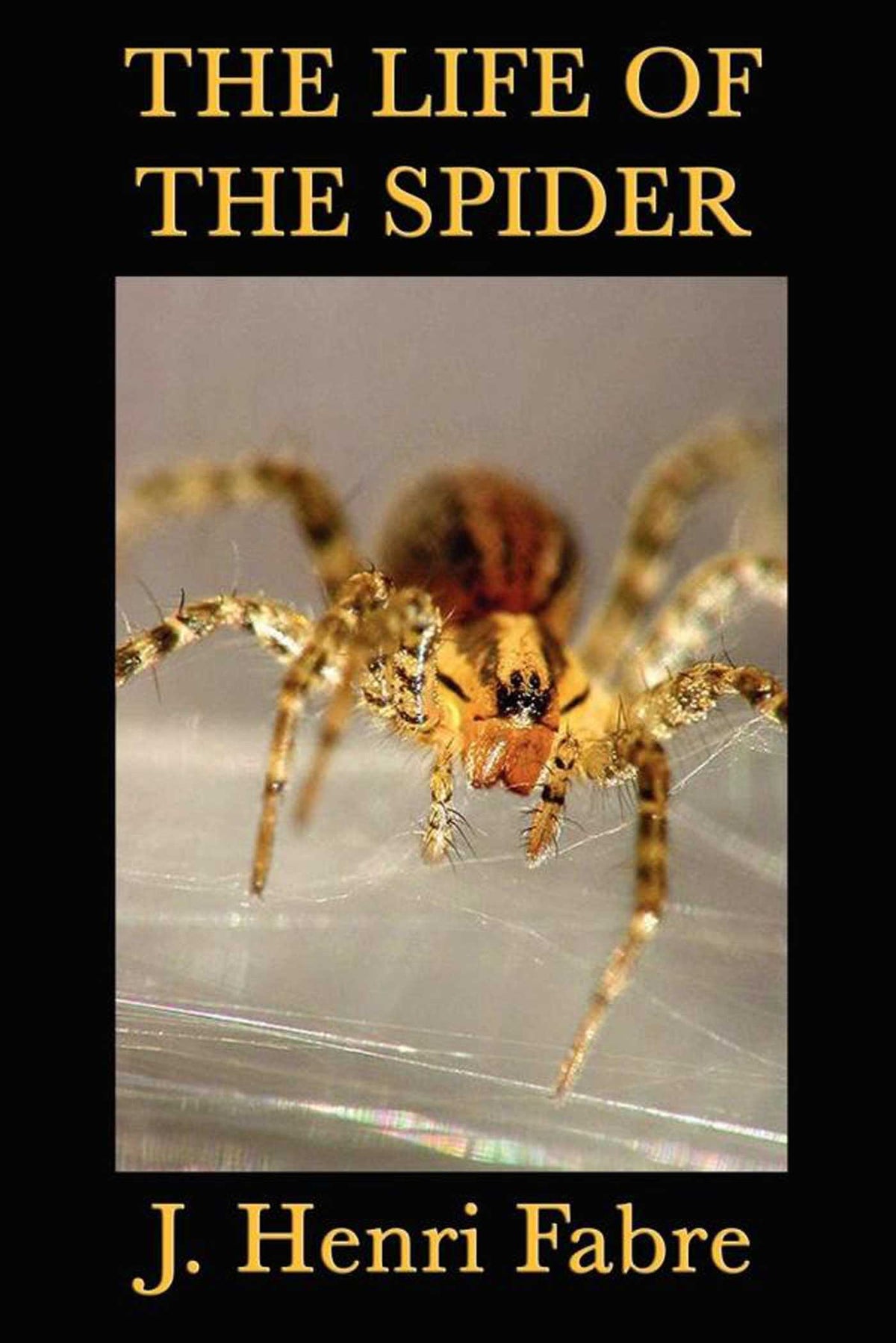 Life of the Spider