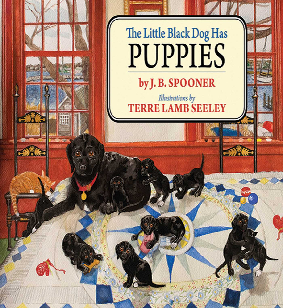 Little Black Dog Has Puppies