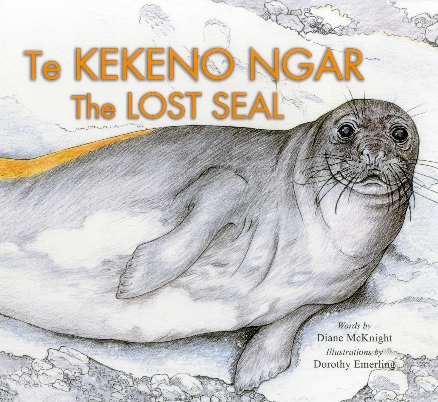 Lost Seal