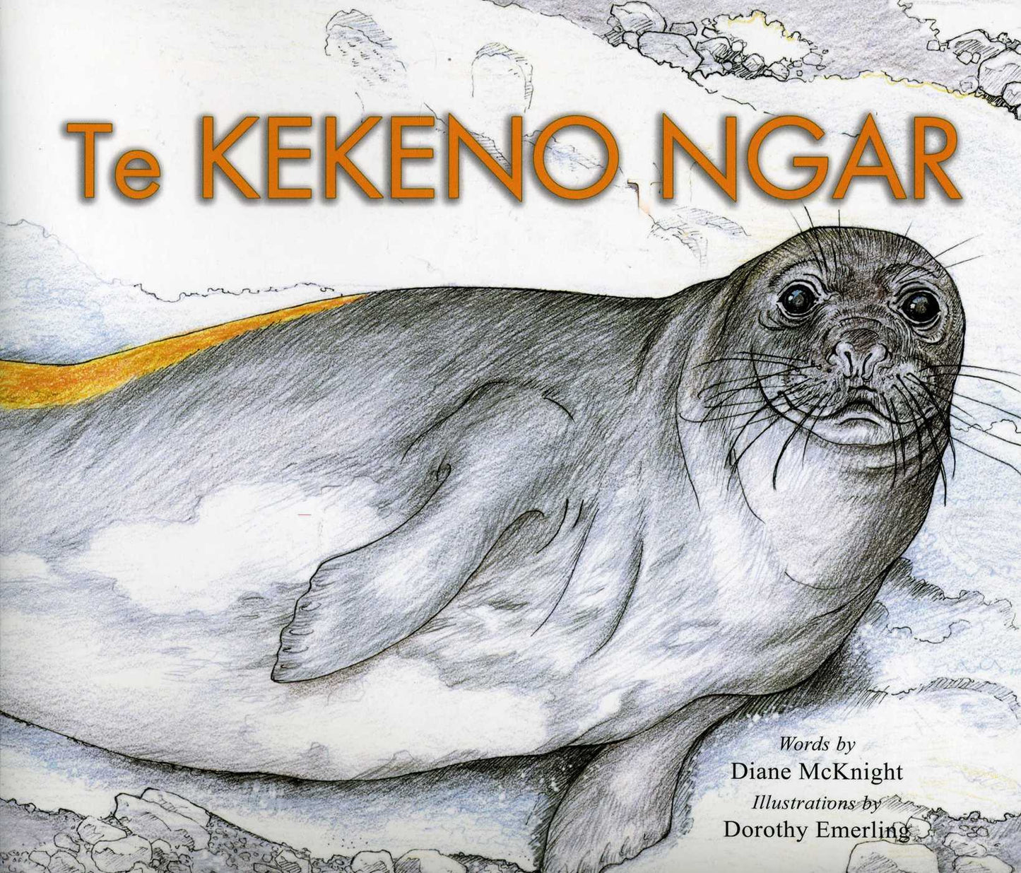 Lost Seal