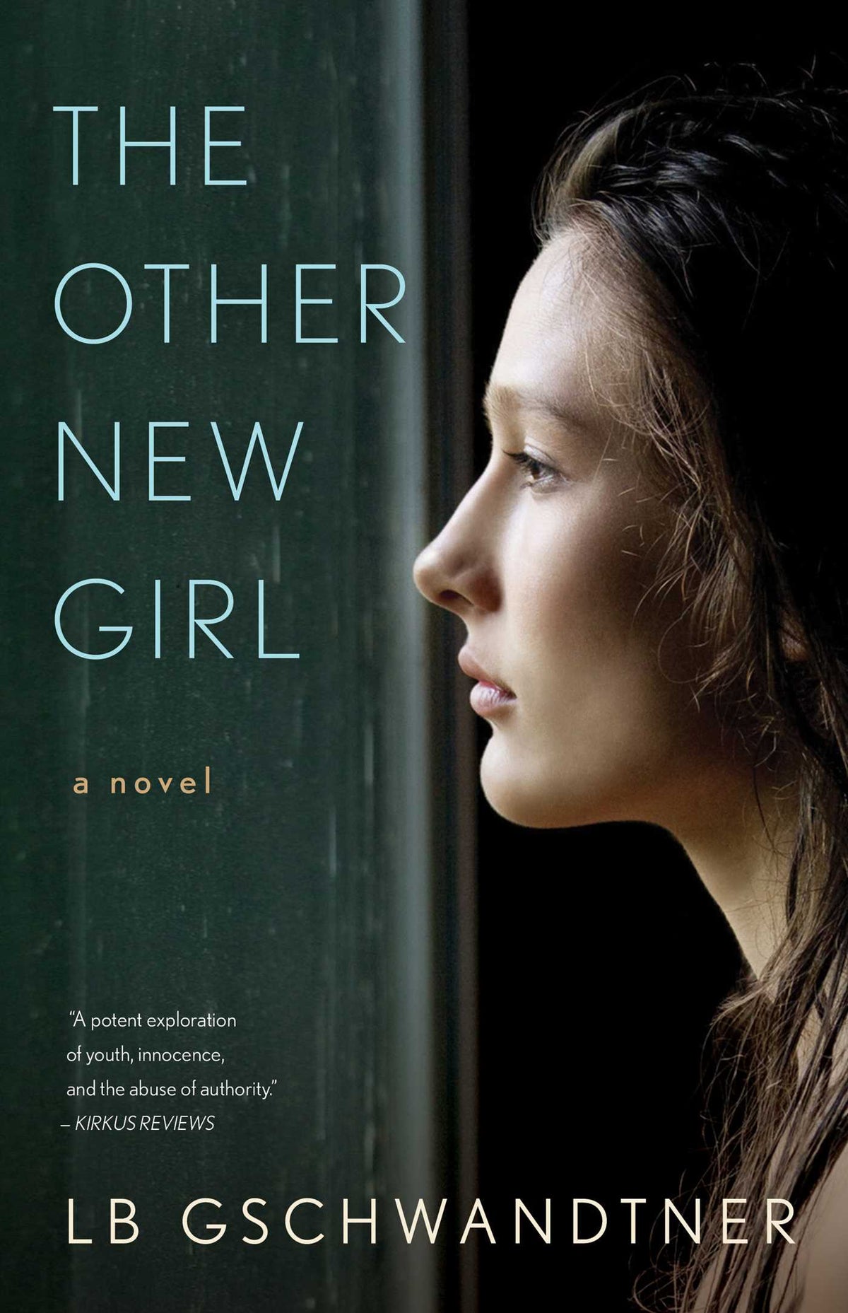Other New Girl: A Novel