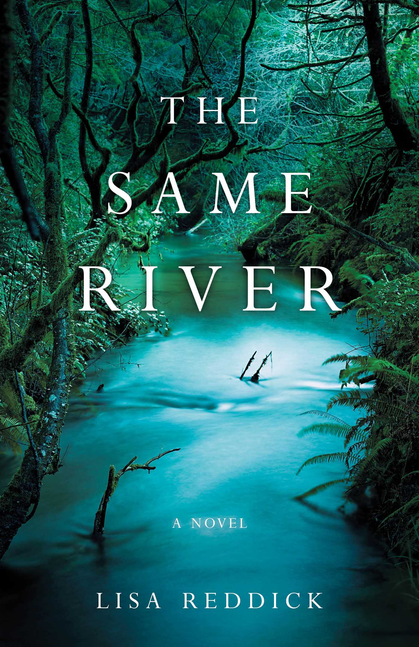 Same River: A Novel