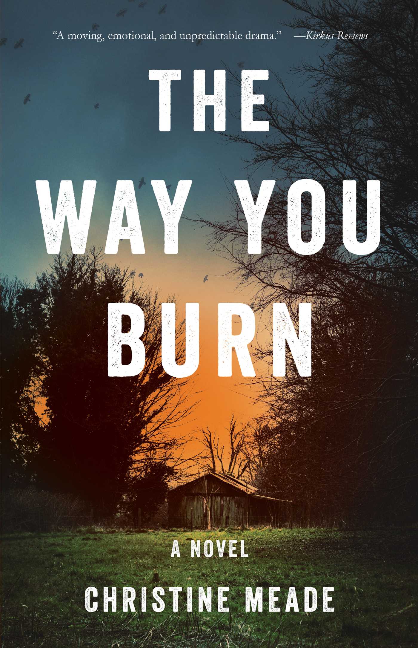 Way You Burn: A Novel