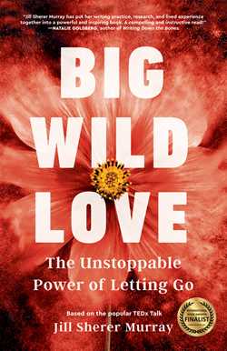 Big Wild Love