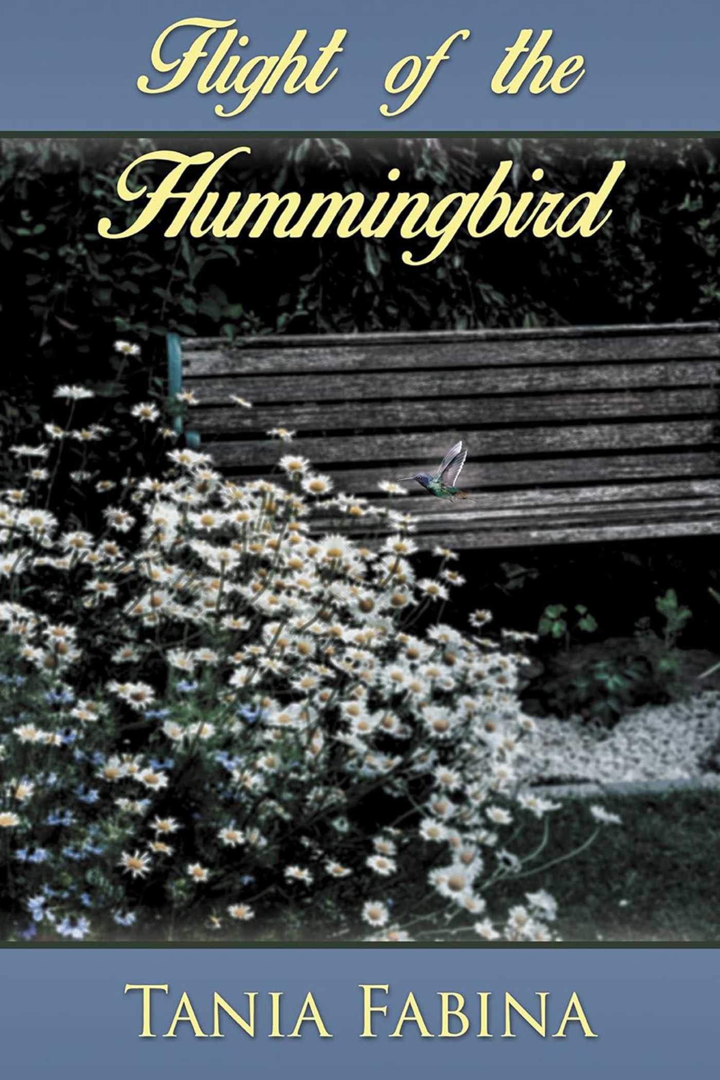Flight of the Hummingbird