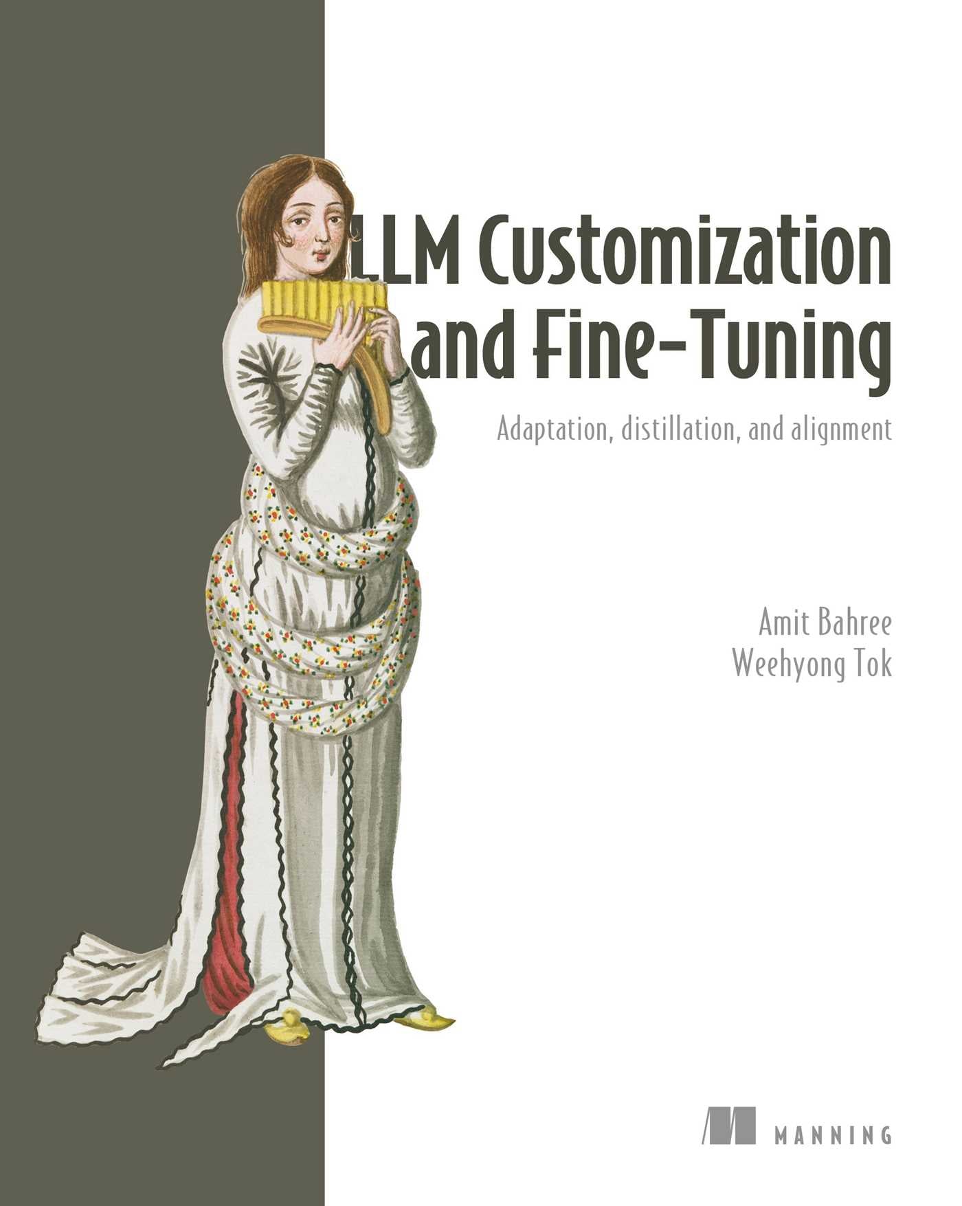 LLM Customization and Fine-Tuning