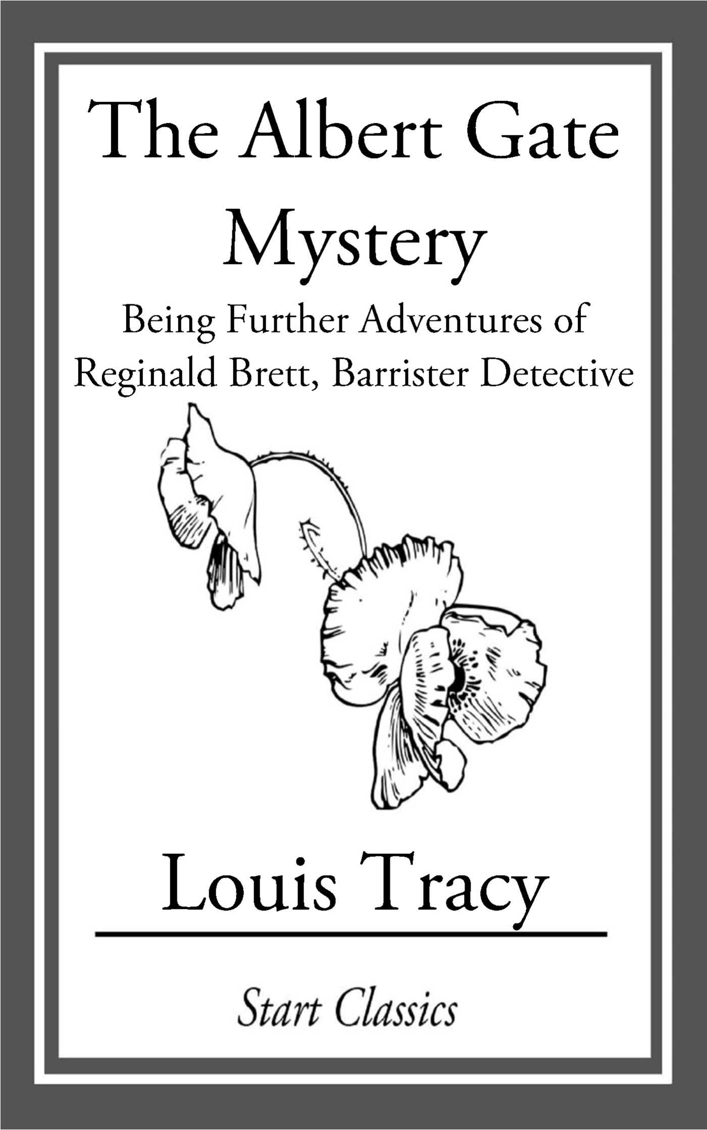 Albert Gate Mystery: Being Further Adventures of Reginald Brett, Barrister Detective