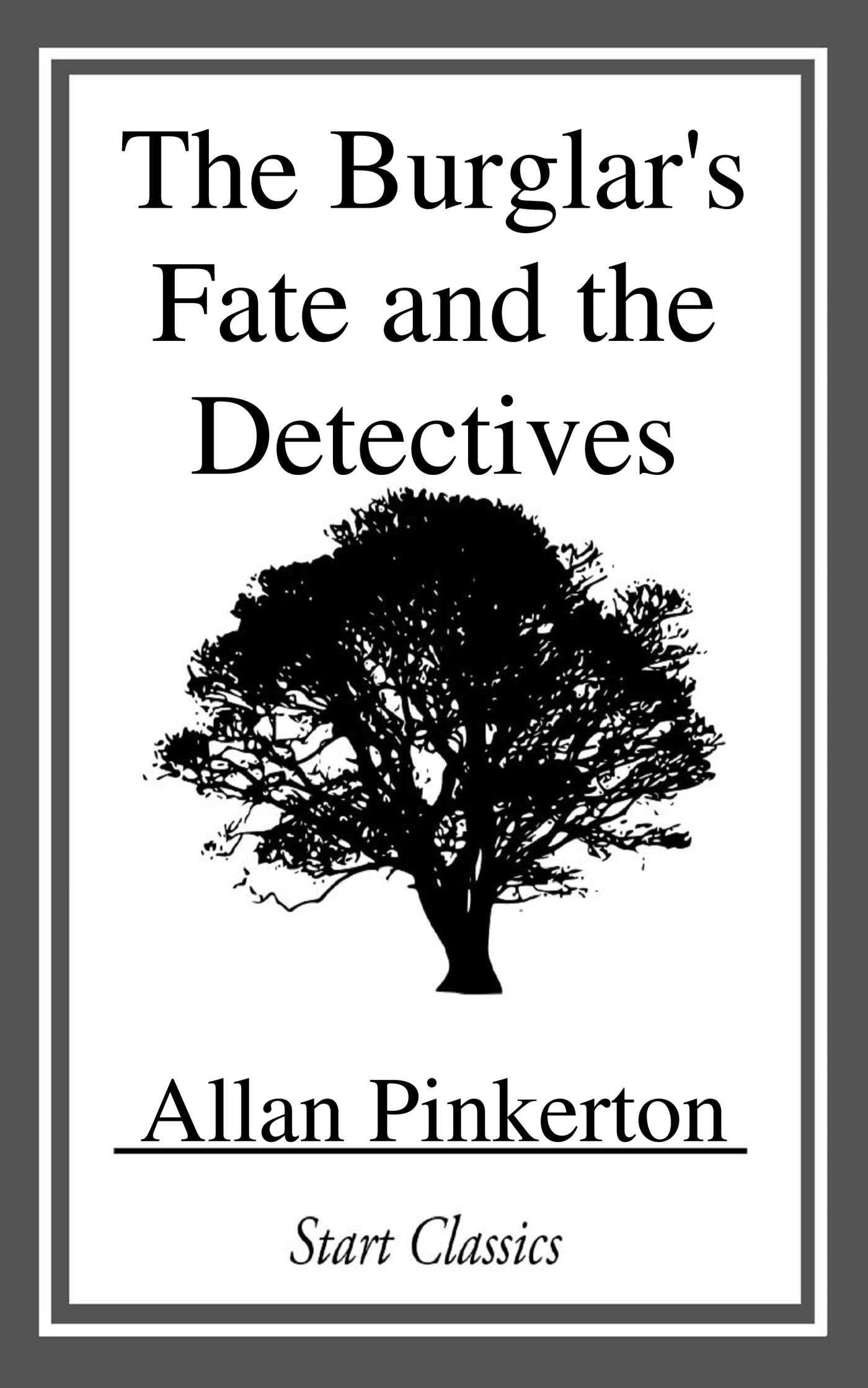 Burglar's Fate and the Detectives